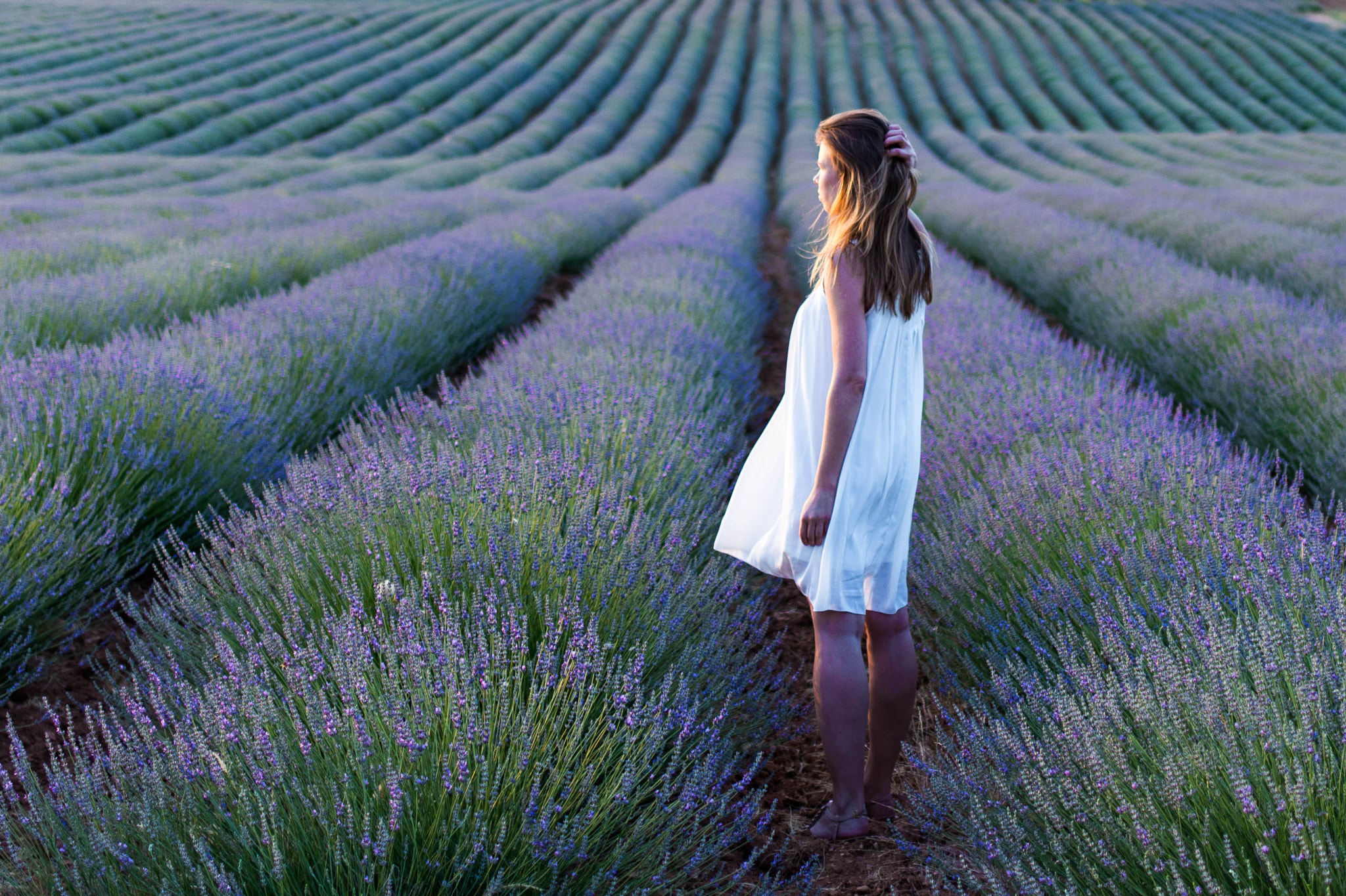 Canon EOS 100D (EOS Rebel SL1 / EOS Kiss X7) + Canon EF 35mm F2 IS USM sample photo. Lavender fields photography