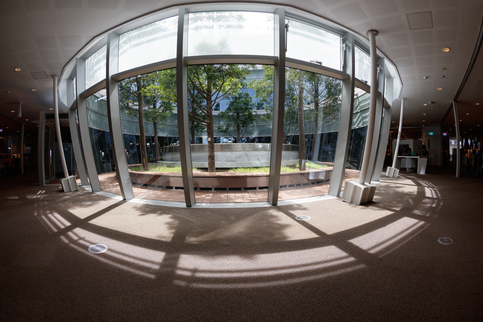 Canon EOS 5DS R + Canon EF 8-15mm F4L Fisheye USM sample photo. Kaohsiung main public library photography