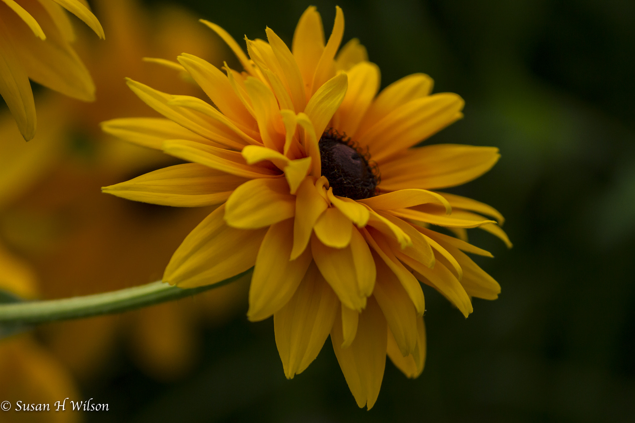 Canon EF 180mm F3.5L Macro USM sample photo. Reaching out photography