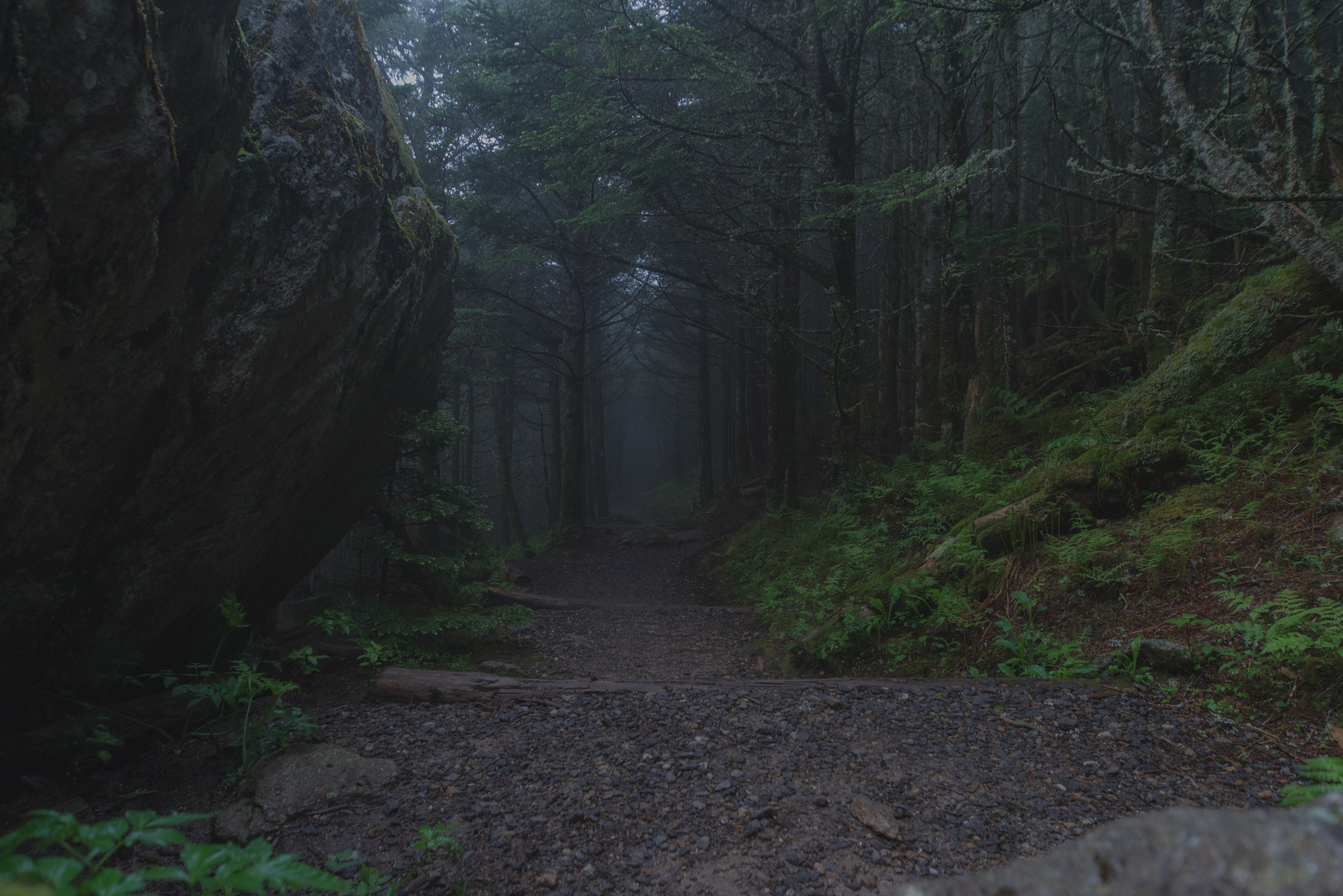 Nikon D610 + Sigma 12-24mm F4.5-5.6 EX DG Aspherical HSM sample photo. Morning mist photography