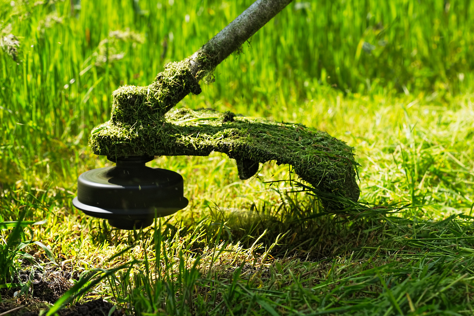 Canon EF 100mm F2.8 Macro USM sample photo. Gasoline lawn trimmer mows juicy green grass photography
