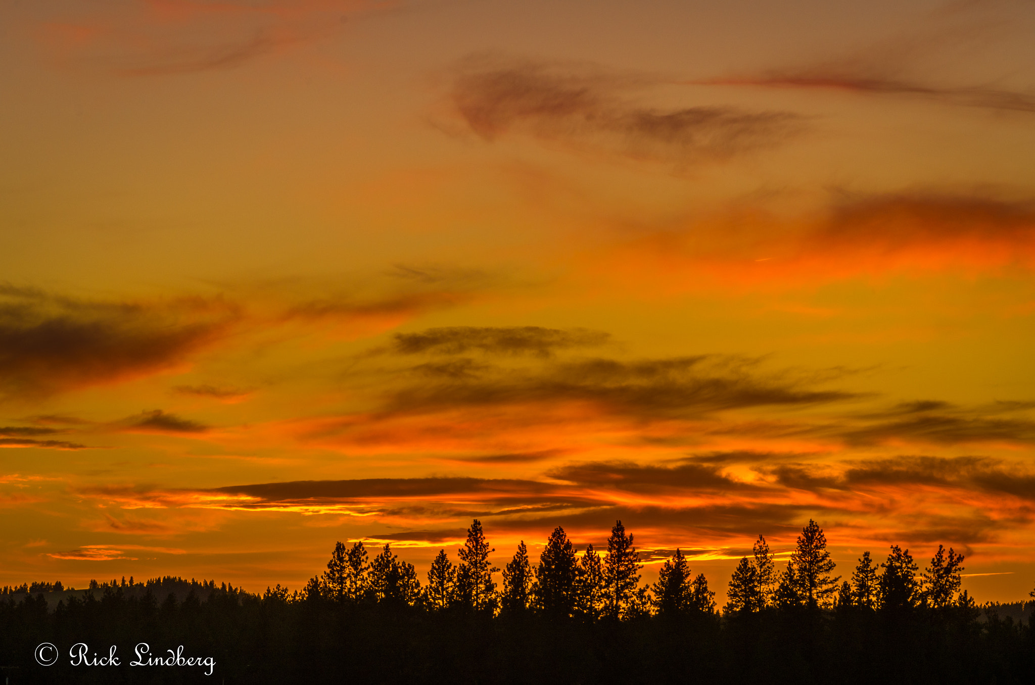 Pentax K-50 + A Series Lens sample photo. Foreboding photography