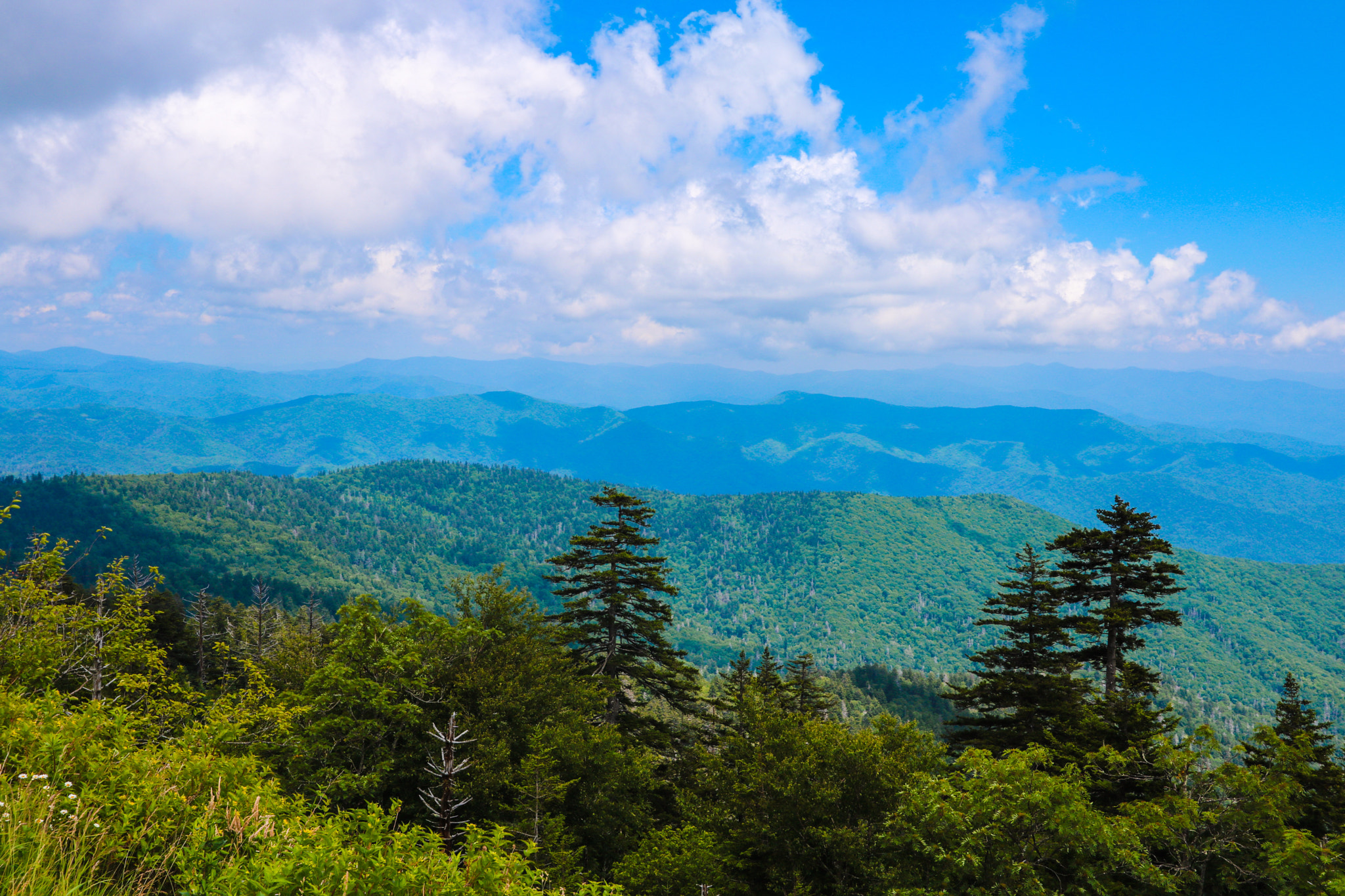 Canon EOS 760D (EOS Rebel T6s / EOS 8000D) + Canon EF-S 10-22mm F3.5-4.5 USM sample photo. Smokey mountains and peace photography