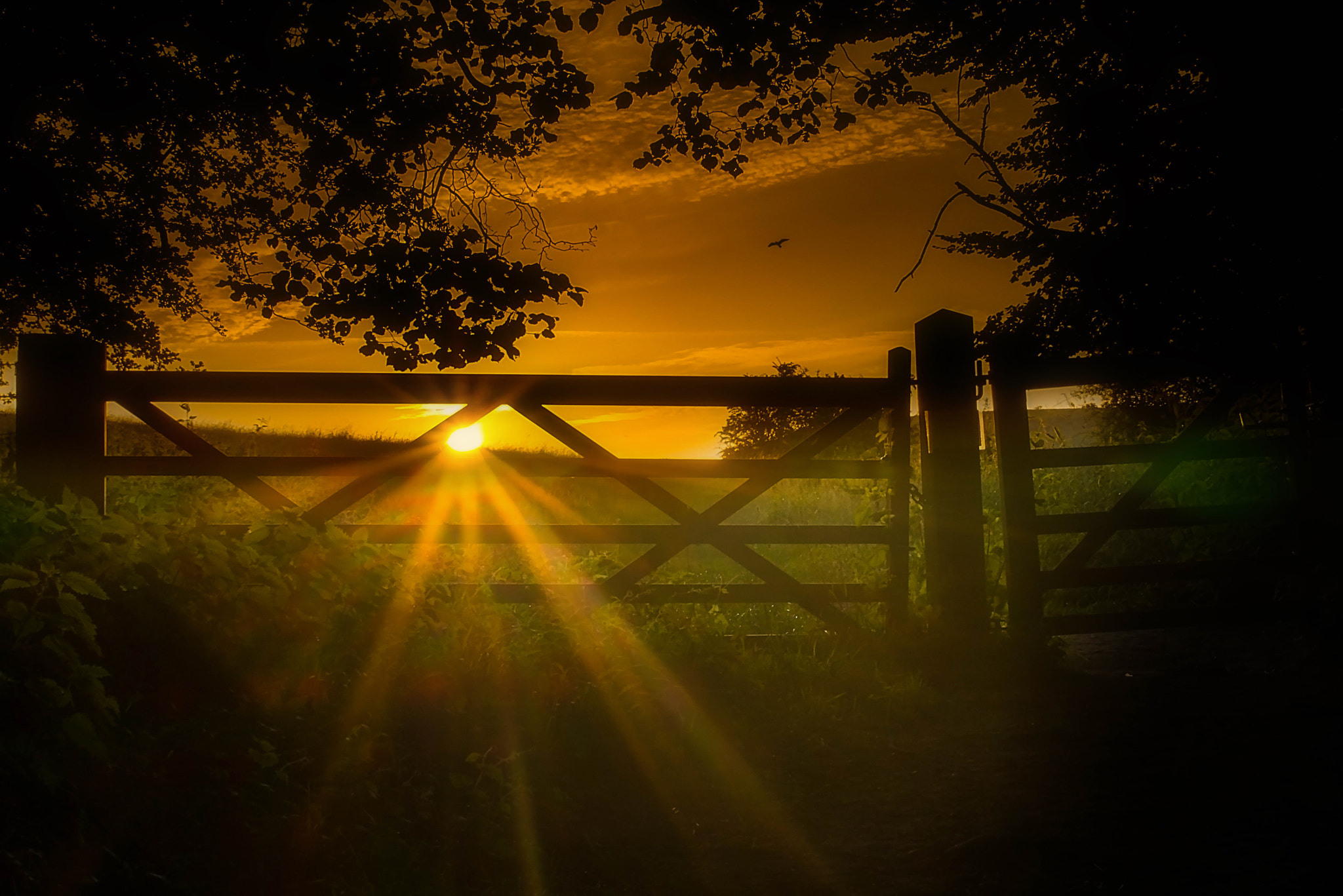 Panasonic Lumix DMC-GF6 + Sigma 30mm F2.8 DN Art sample photo. Sunset photography