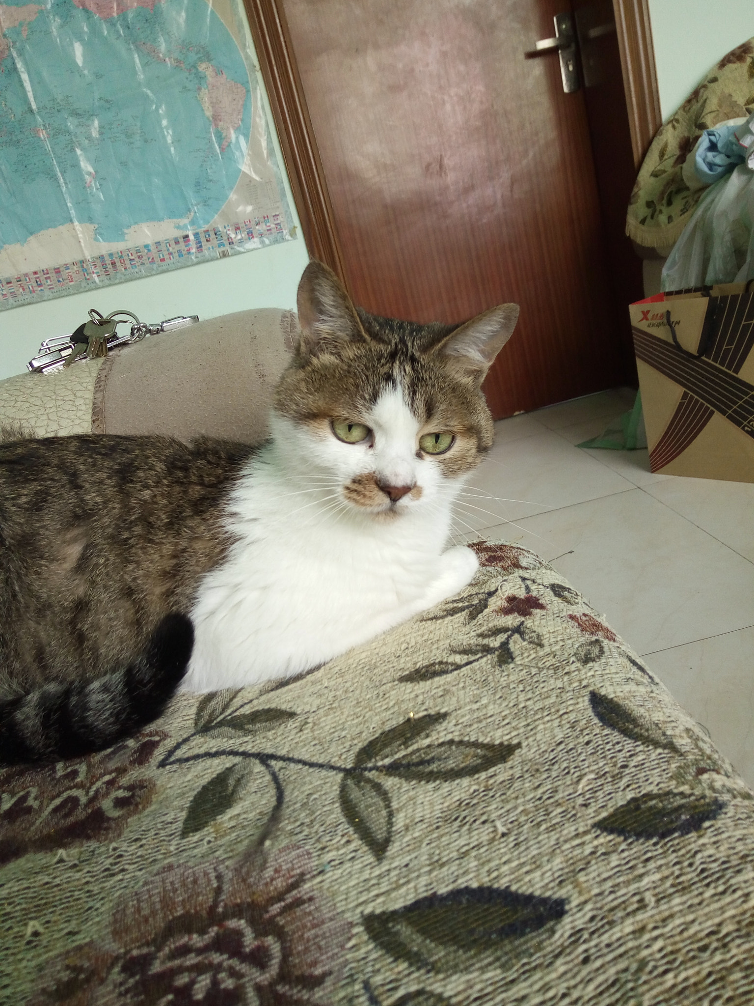 OPPO R7s sample photo
