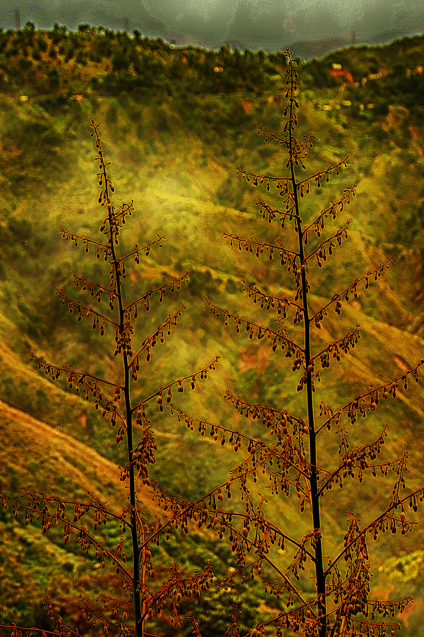 Sony E 18-200mm F3.5-6.3 OSS sample photo. Paintings of nature... photography