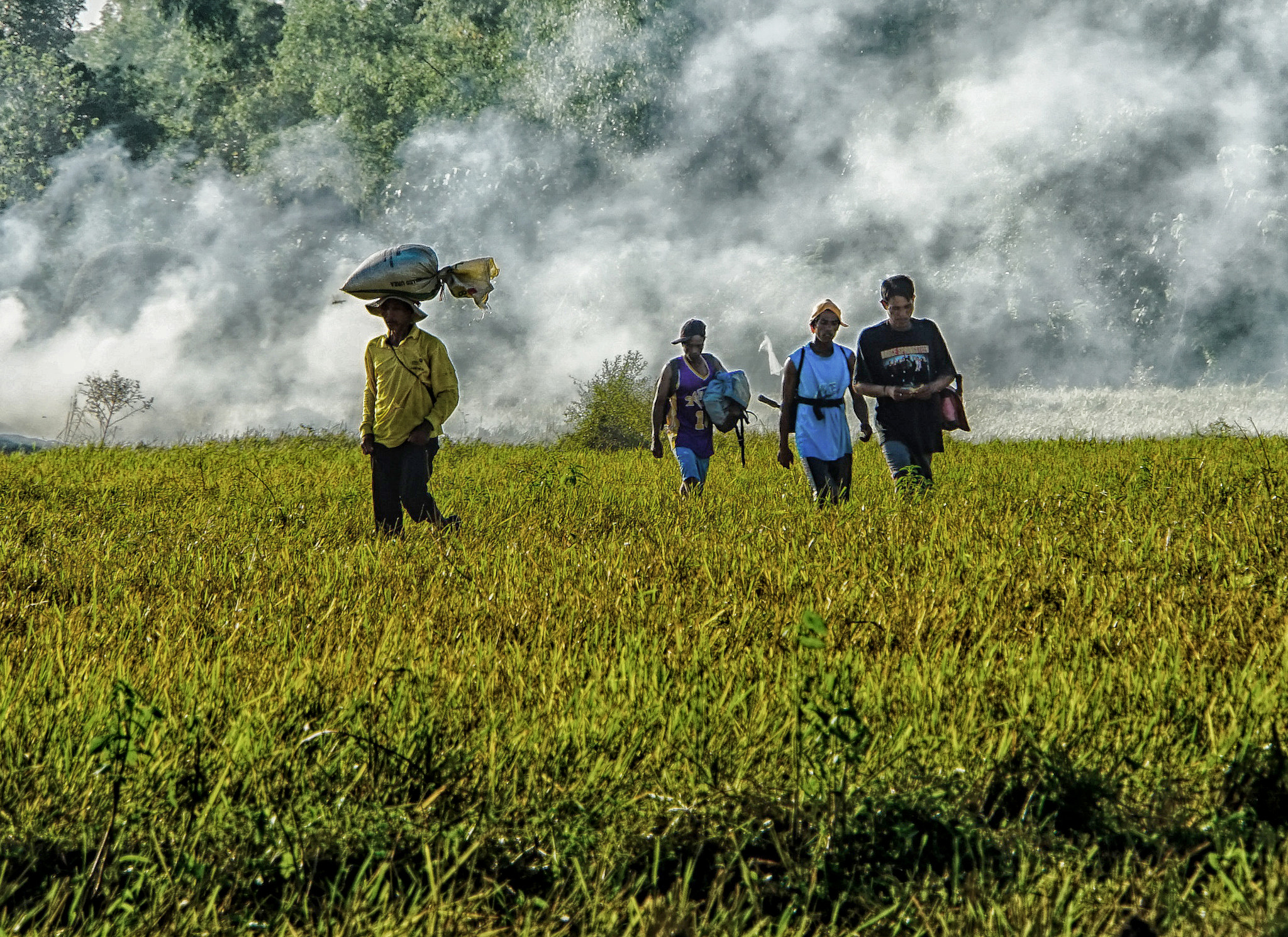 Sony E 18-200mm F3.5-6.3 OSS sample photo. Farmers photography