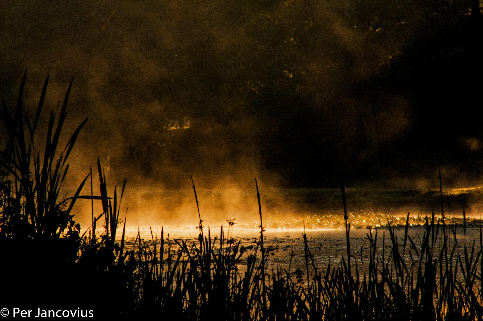 Canon EOS 40D sample photo. Komstad kvarn morning glow photography