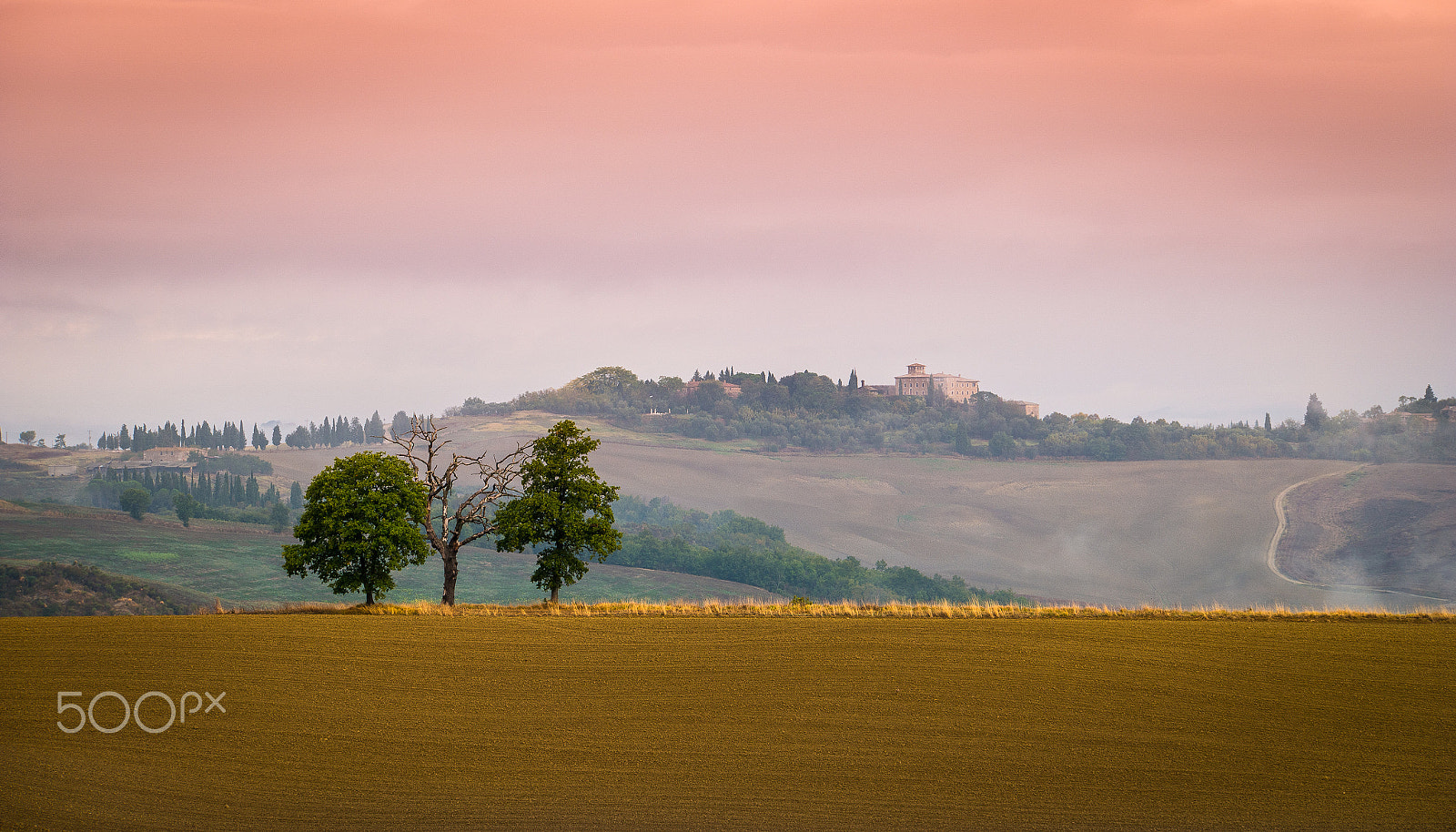 Samsung NX1 + NX 50-150mm F2.8 S sample photo. Three trees photography