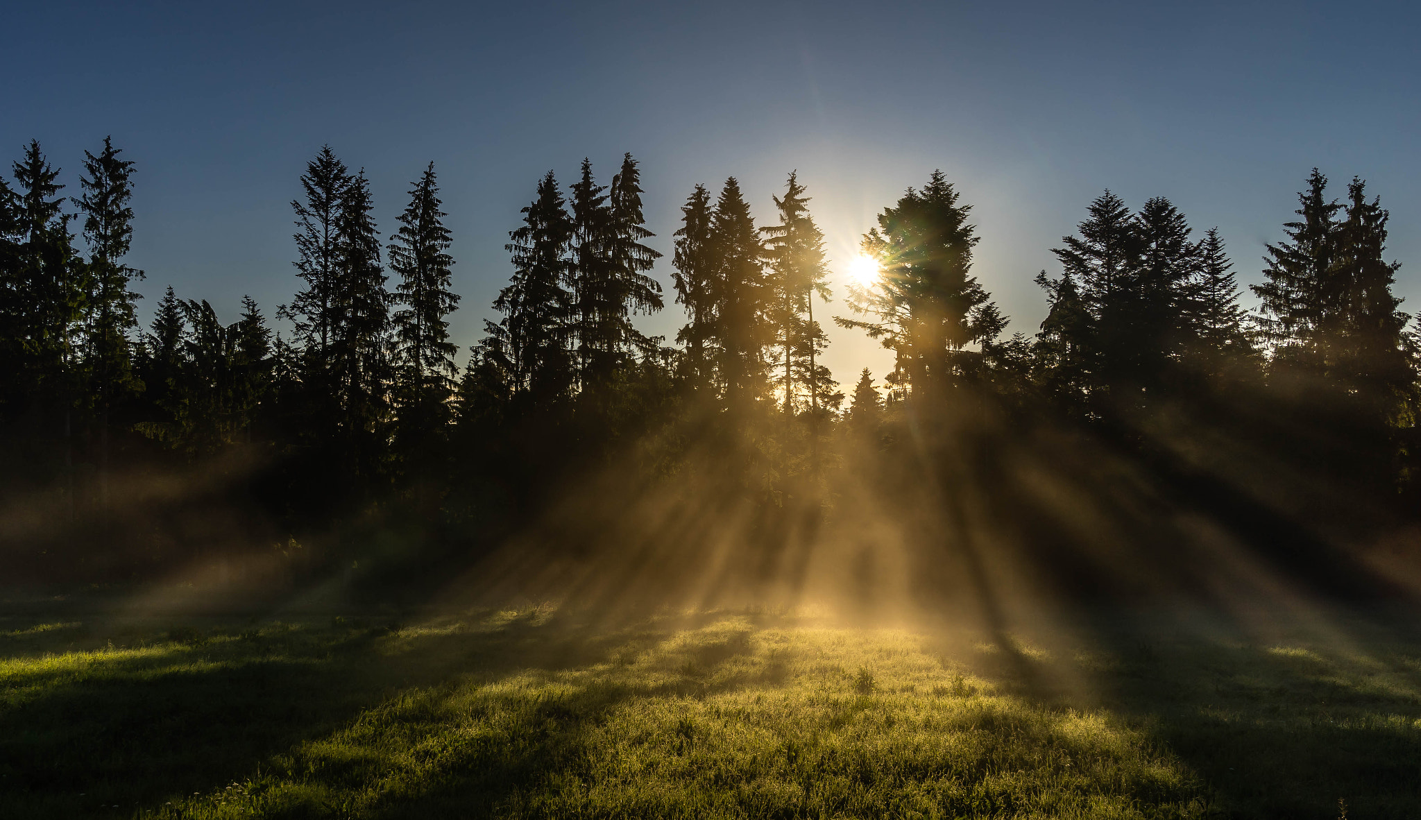 Sony FE 24-70mm F2.8 GM sample photo. Sunrise in the bavarian forest photography