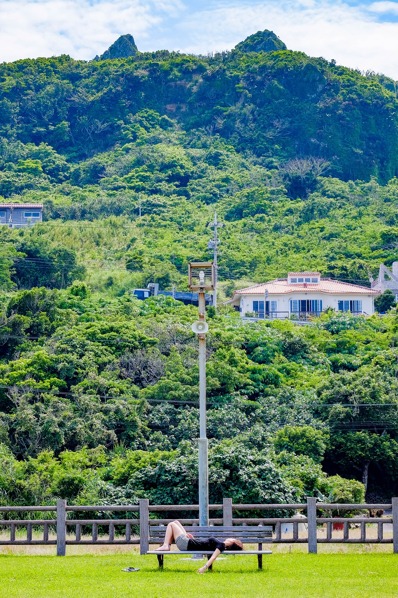 Fujifilm X-T10 + Fujifilm XC 50-230mm F4.5-6.7 OIS II sample photo. Nap photography