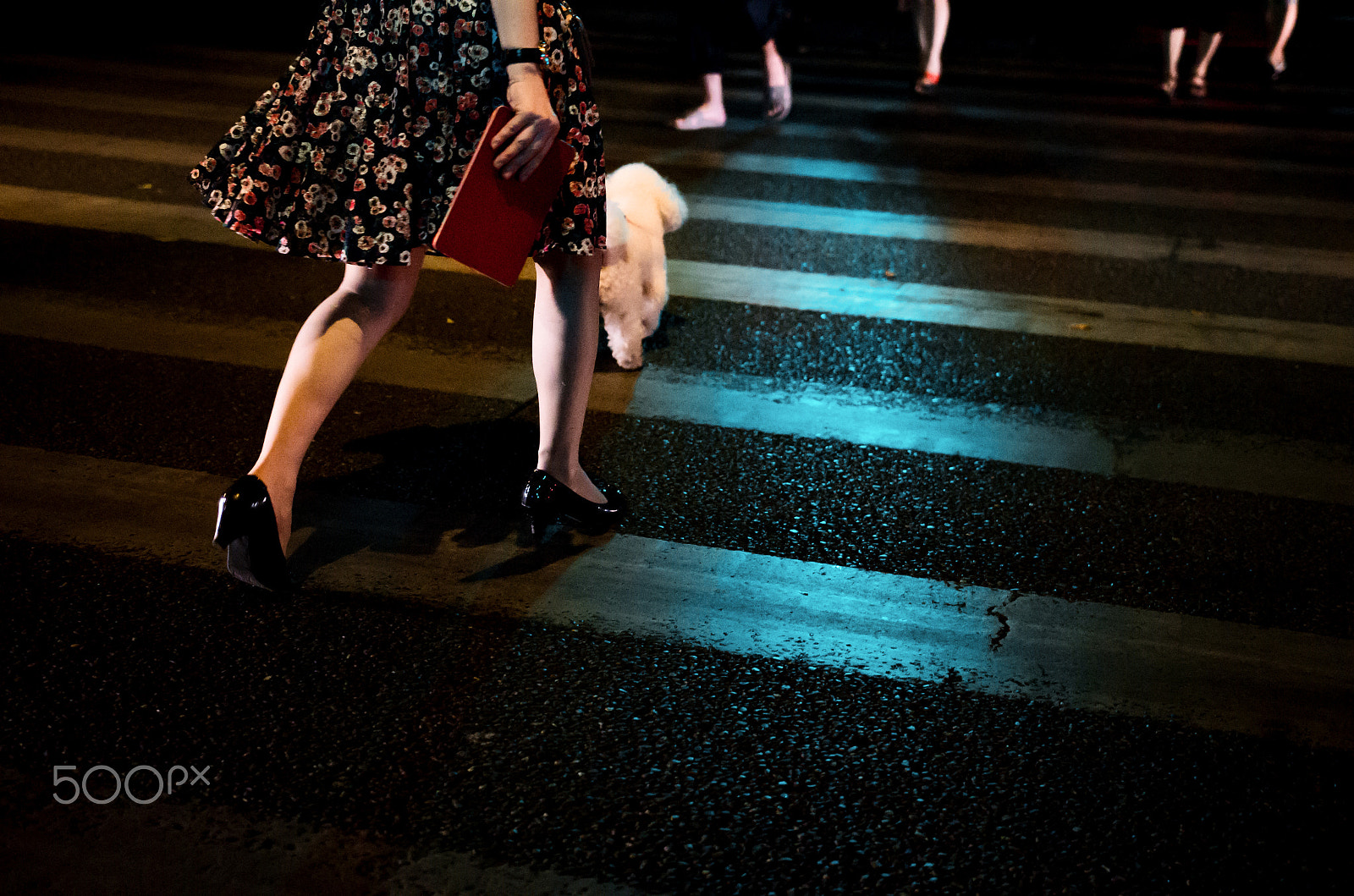 Pentax K-5 IIs sample photo. Street 549# photography