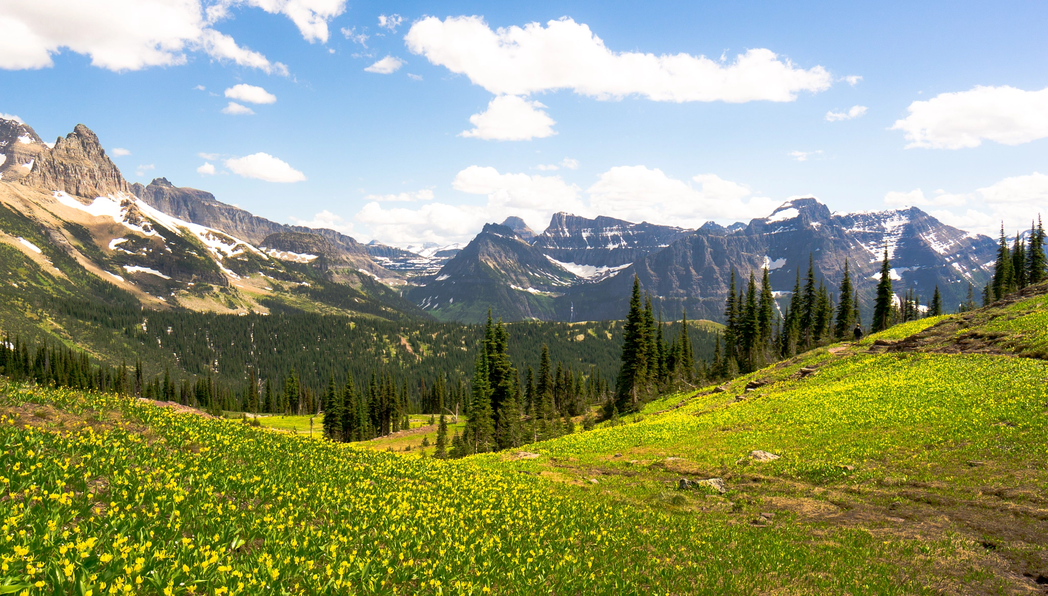 Sony Alpha NEX-6 + Sony E 10-18mm F4 OSS sample photo. Alpine bloom photography