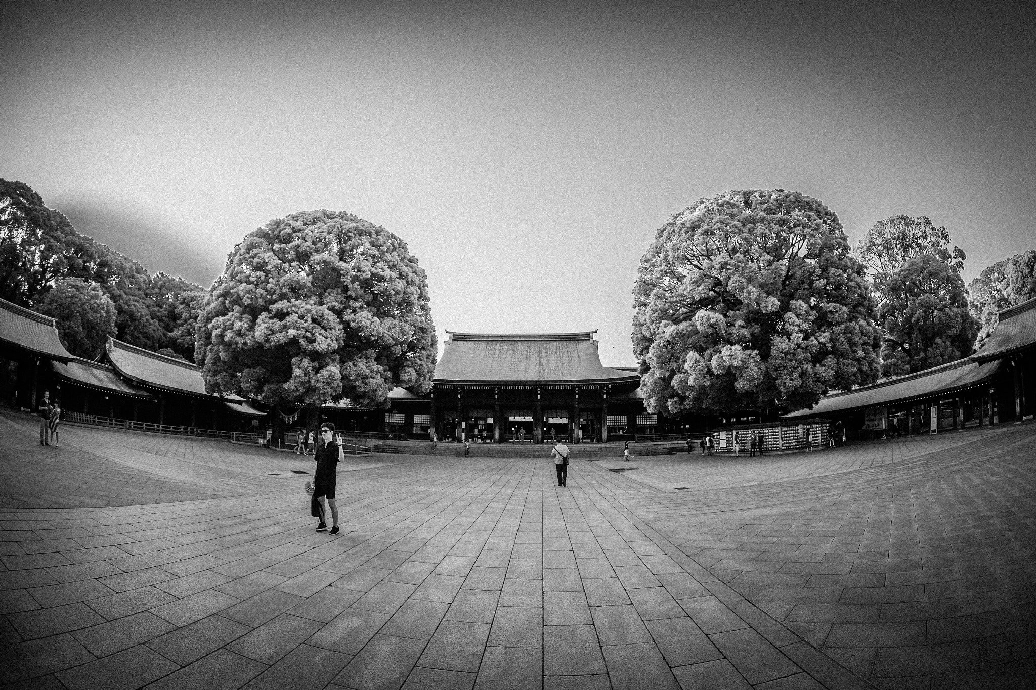 Canon EOS 6D + Sigma 15mm f/2.8 EX Fisheye sample photo. Meji shrine photography