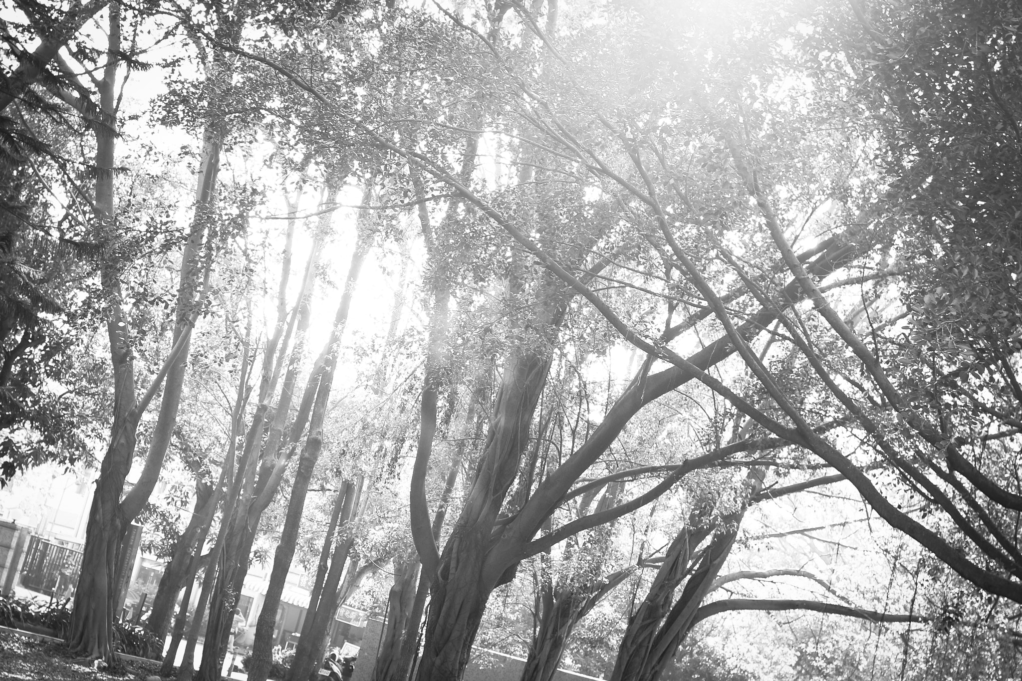 Canon EOS 70D + Canon EF 28mm F1.8 USM sample photo. 光 ..light ... photography