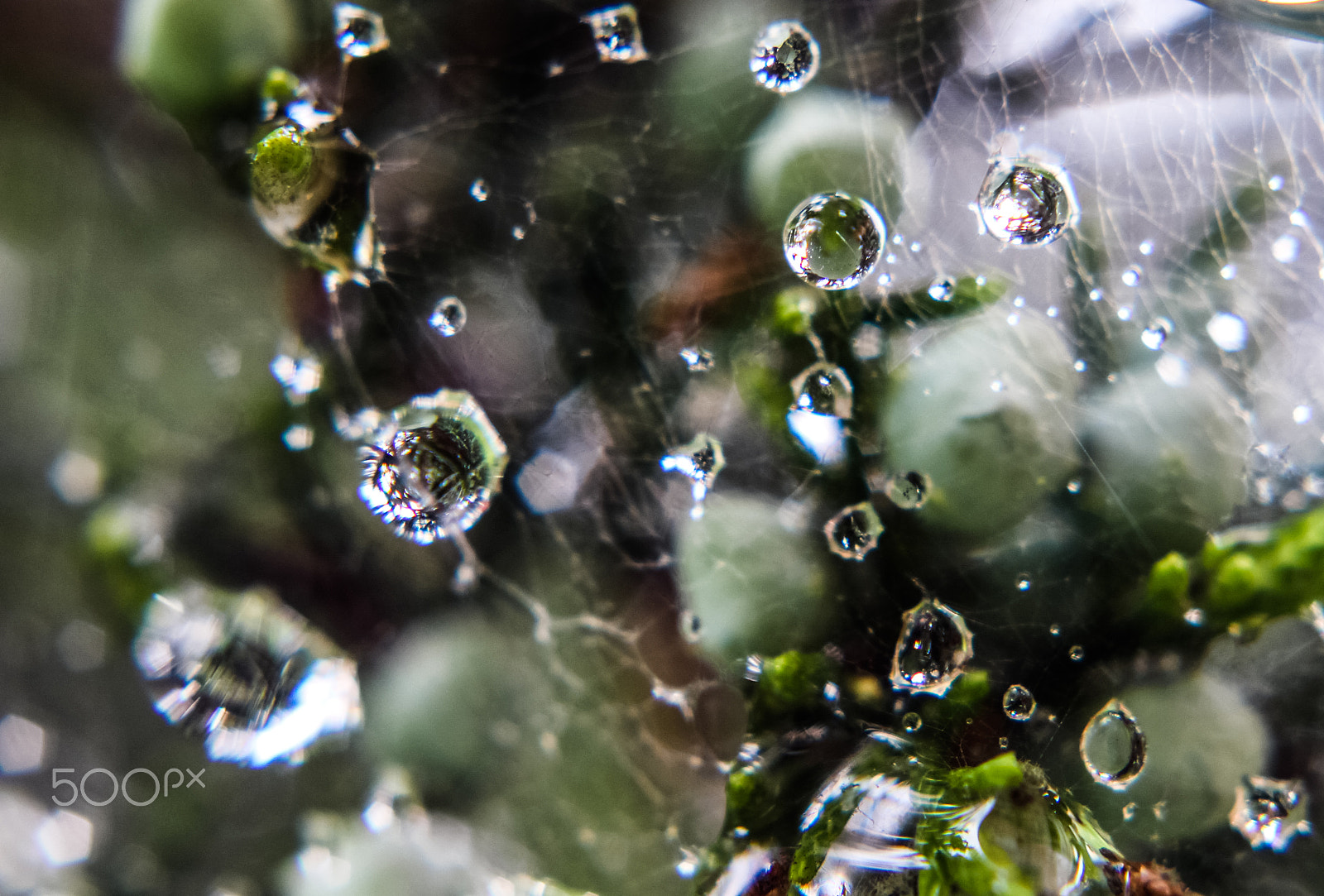 Canon EOS 700D (EOS Rebel T5i / EOS Kiss X7i) + Canon EF 50mm F1.8 II sample photo. Diamonds in the sky!!!! photography