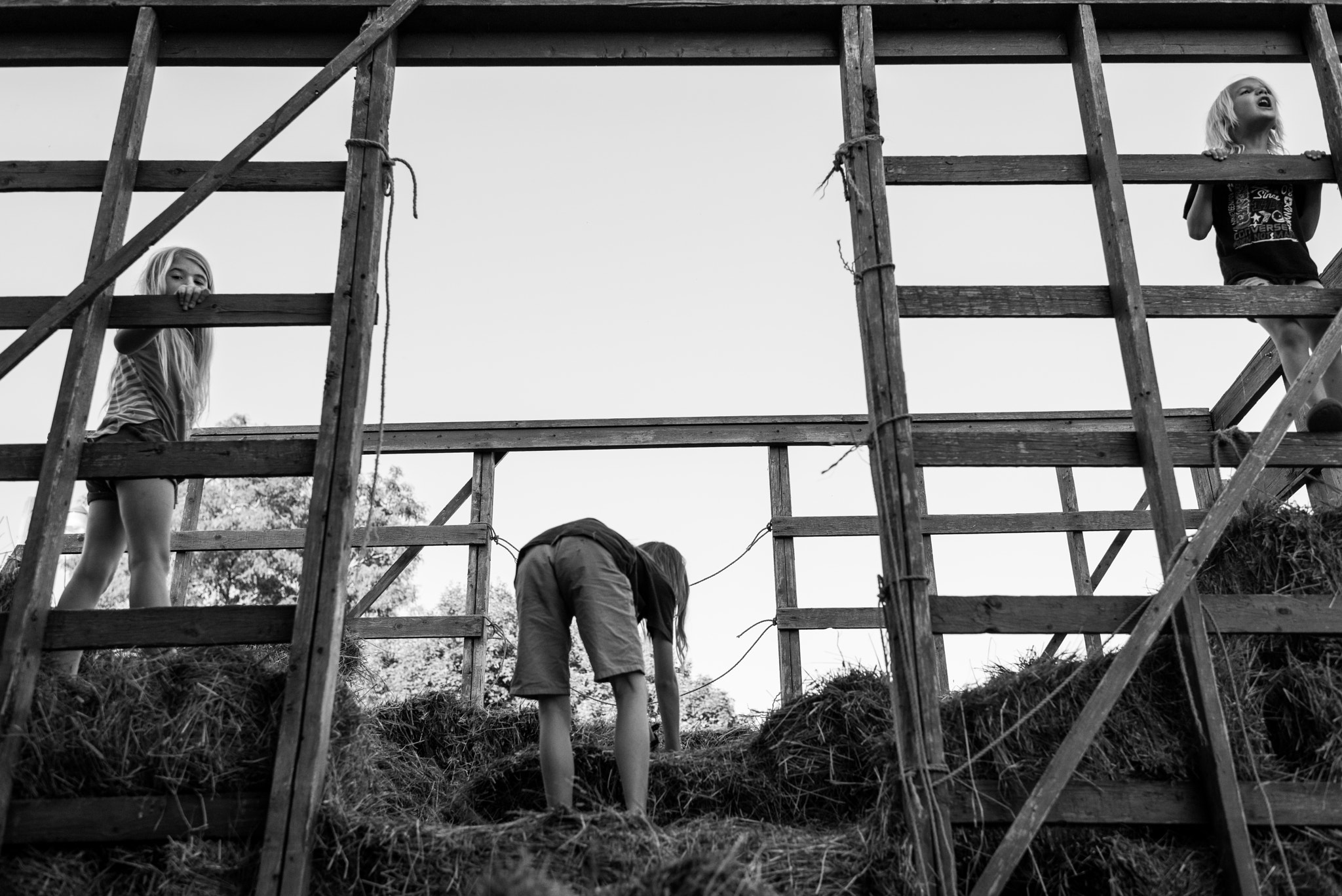 Nikon D800E + Nikon AF-S Nikkor 35mm F1.4G sample photo. It's hay time of year photography