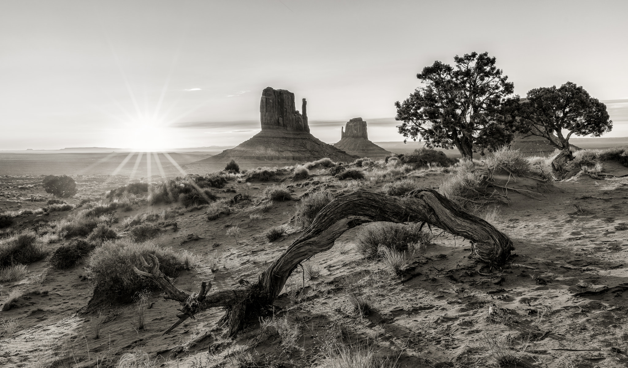 Sony a7R + Sony 70-400mm F4-5.6 G SSM sample photo. Monument valley sunrise black and white photography