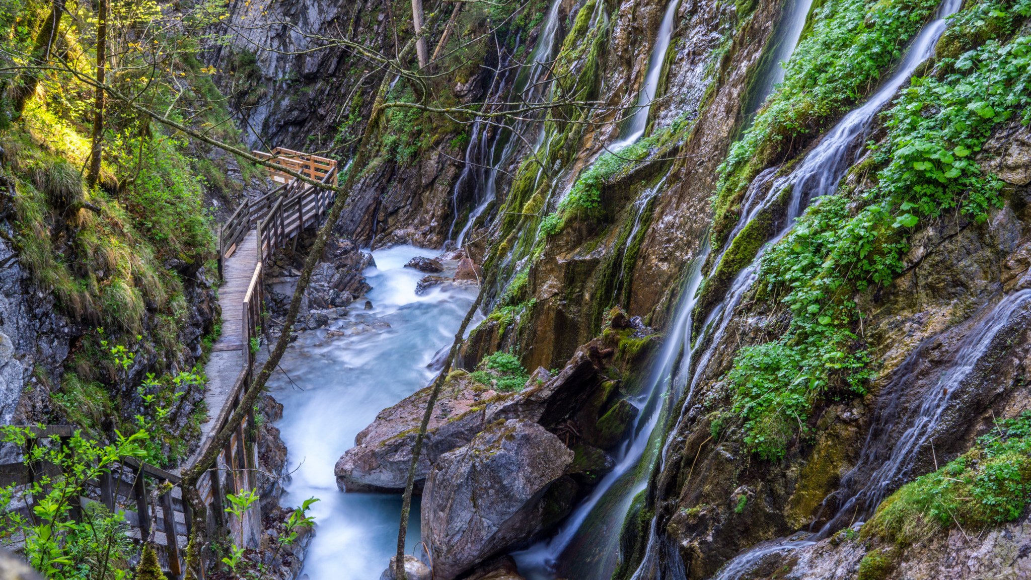 Sony a5100 + Sigma 30mm F2.8 EX DN sample photo. Nature flow photography