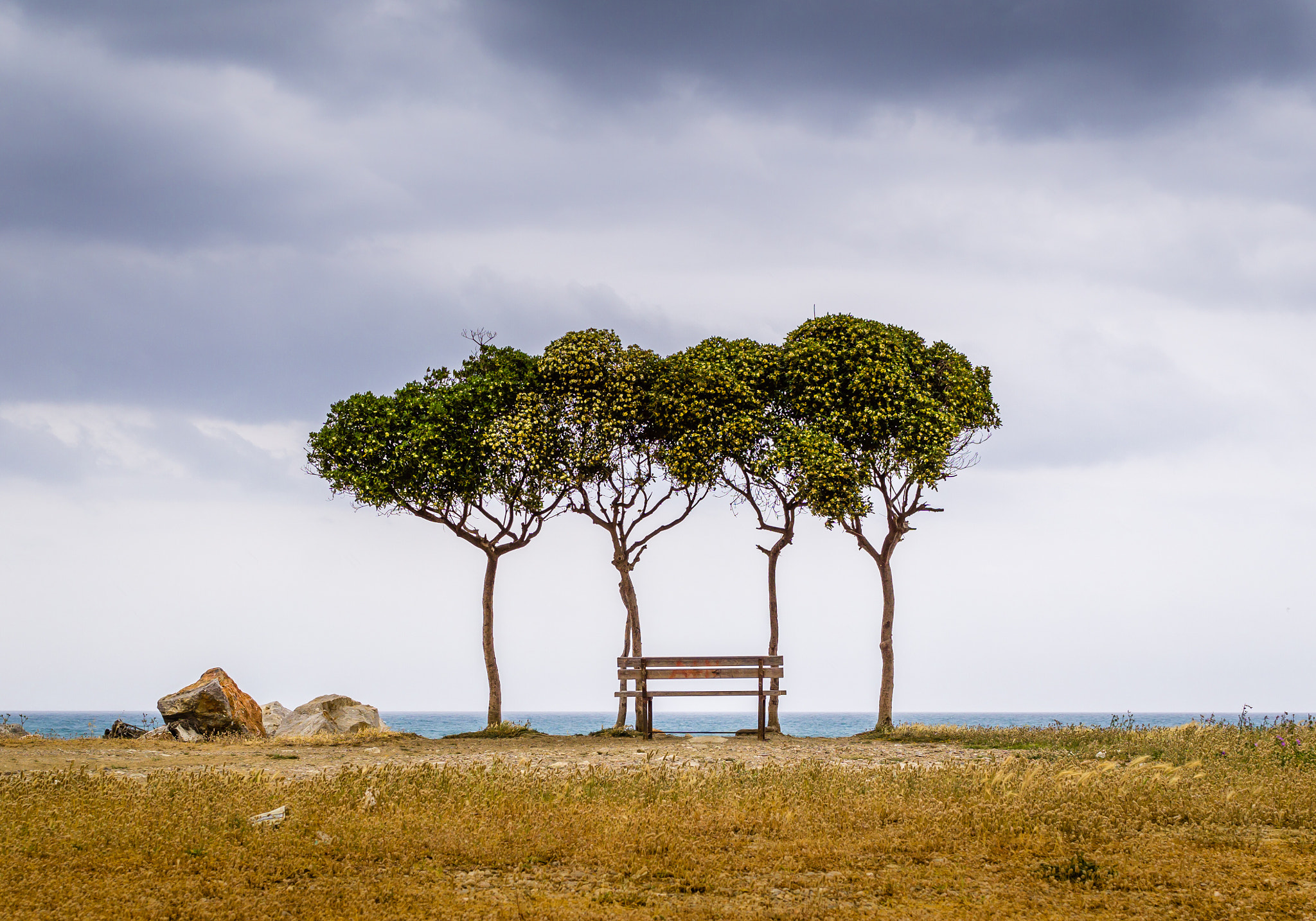 Sony a5100 + Sigma 30mm F2.8 EX DN sample photo. Lonely bench photography