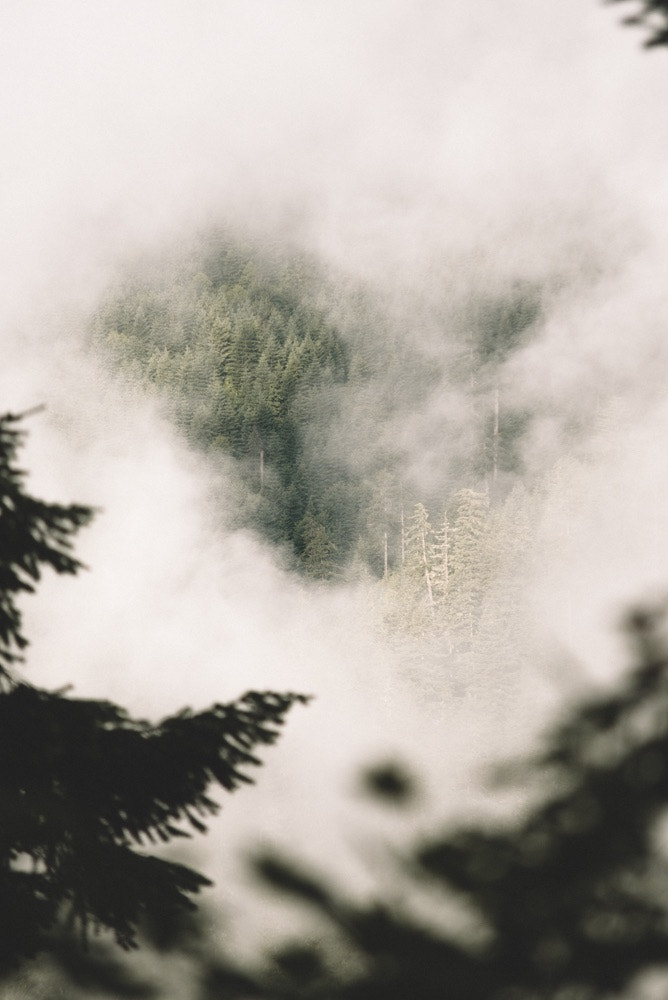AF Zoom-Nikkor 75-300mm f/4.5-5.6 sample photo. Fog windows. photography