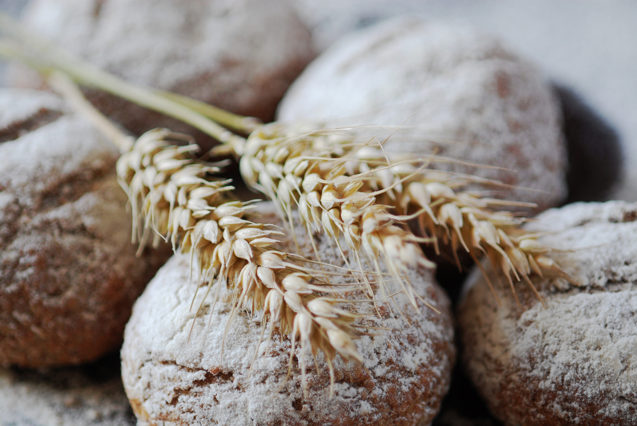 Nikon D200 sample photo. Organic bread with cereals and wheat photography