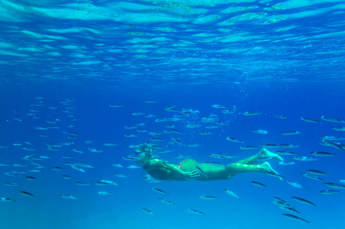 Nikon D5000 + Sigma 18-50mm F2.8 EX DC Macro sample photo. Swimming with fish photography