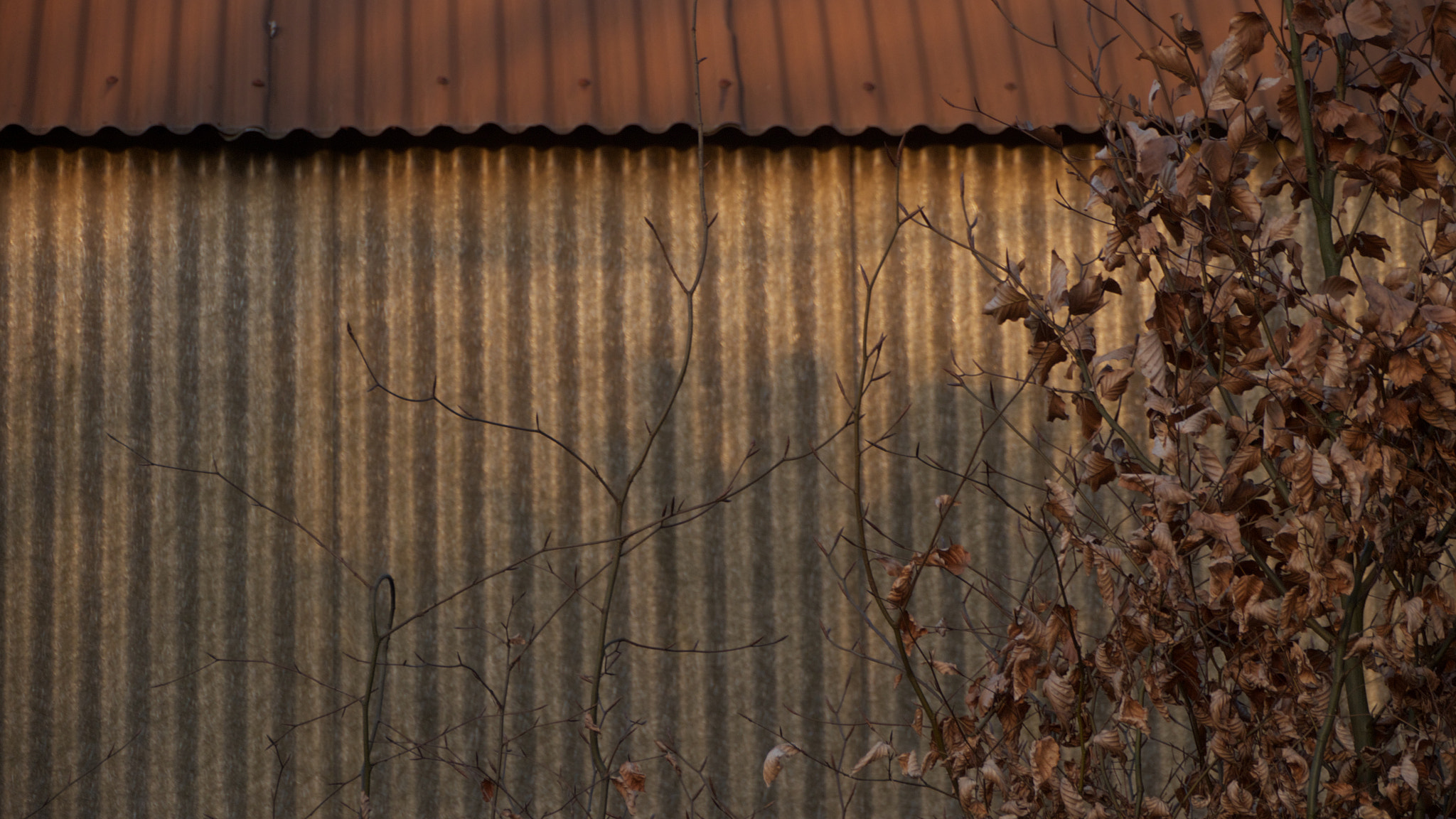 Panasonic Lumix DMC-GH2 sample photo. Barn photography