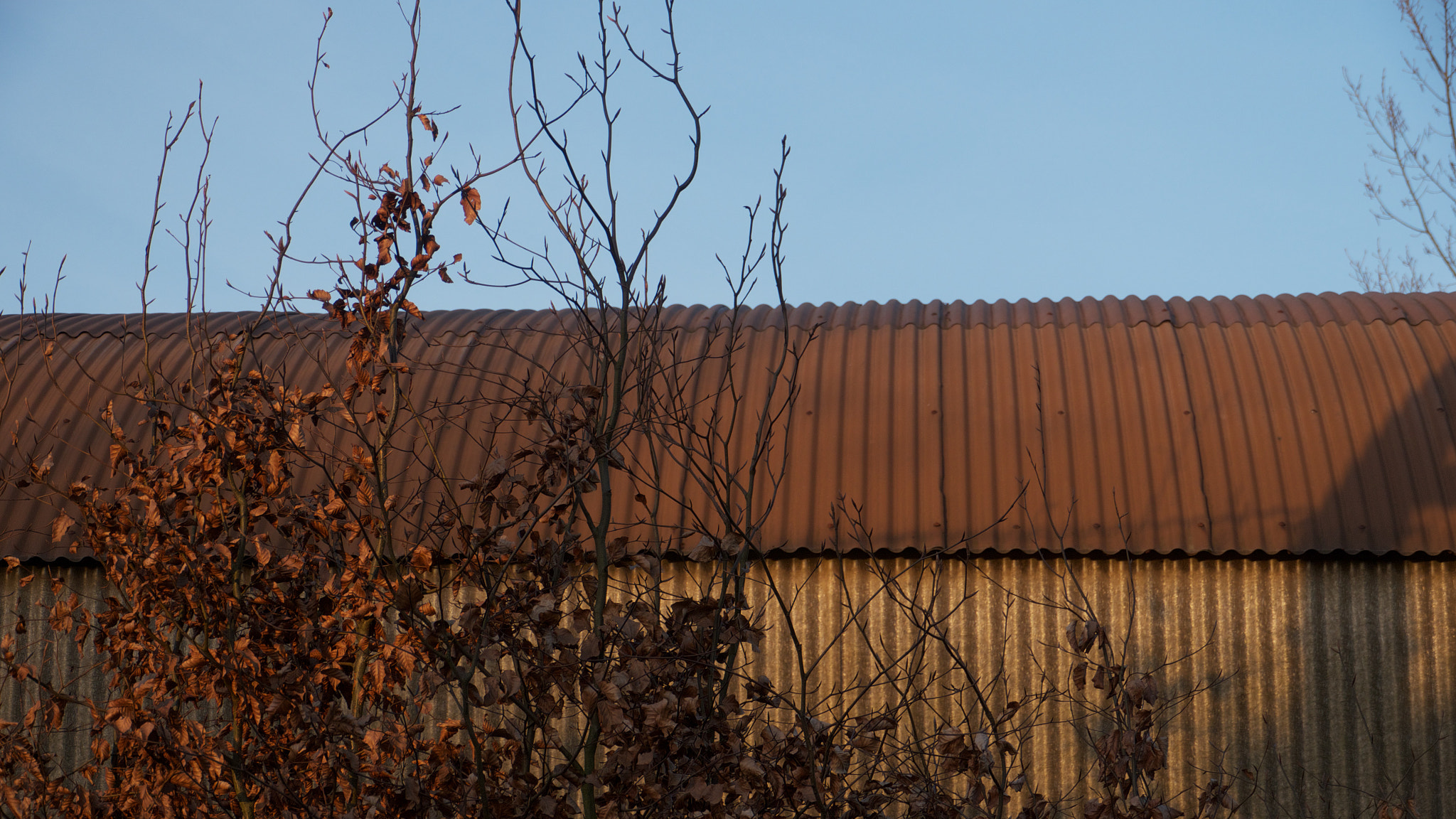 Panasonic Lumix DMC-GH2 sample photo. Barn photography