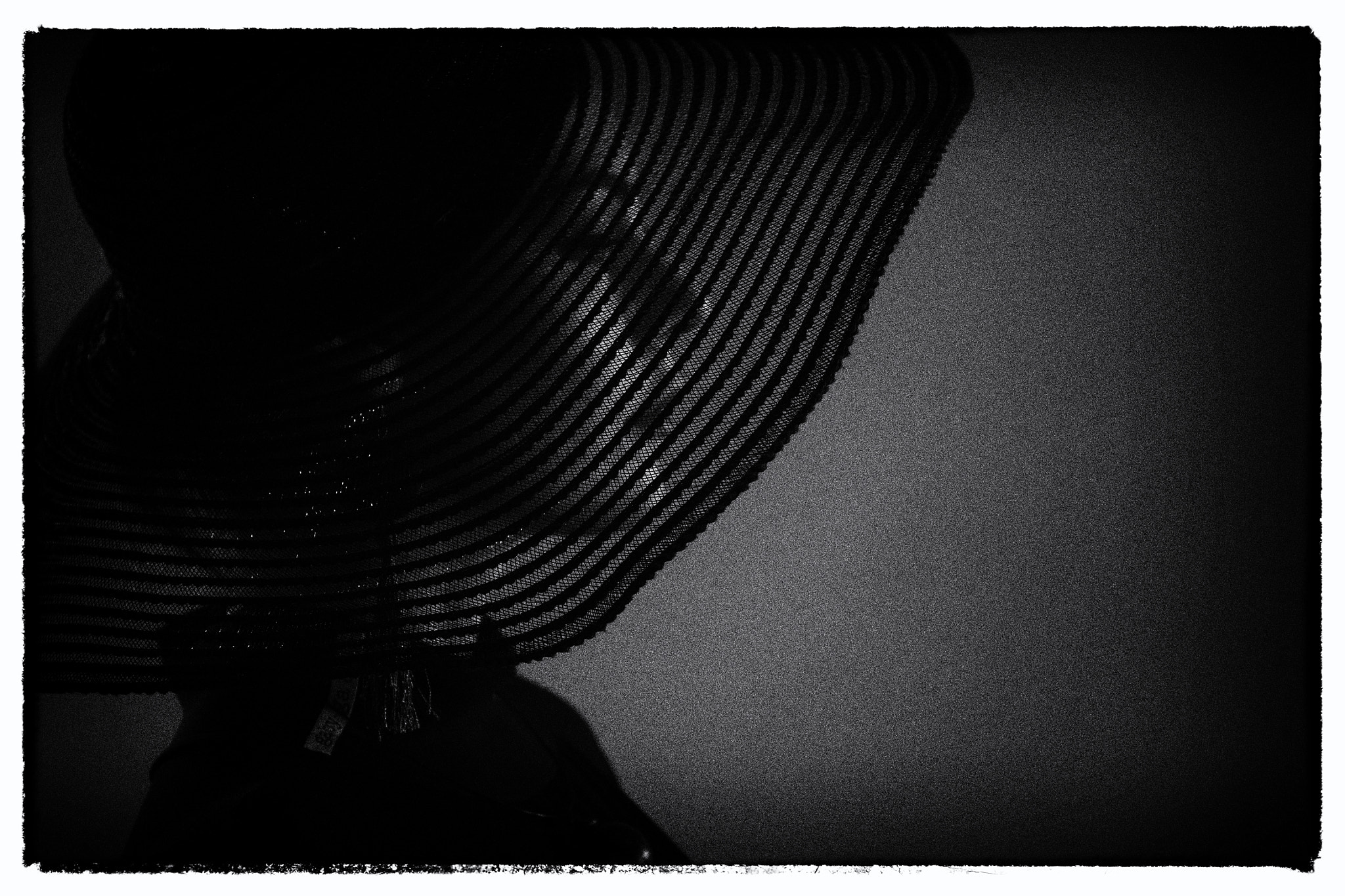 Panasonic Lumix DMC-GH4 + Sigma 60mm F2.8 DN Art sample photo. Edit photography