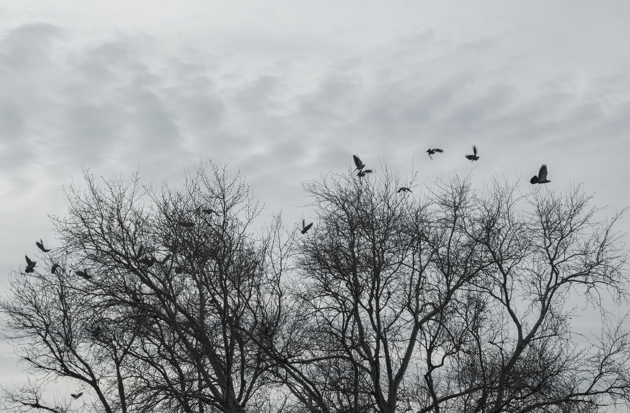 Sigma 18-200mm F3.5-6.3 II DC OS HSM sample photo. Pace photography