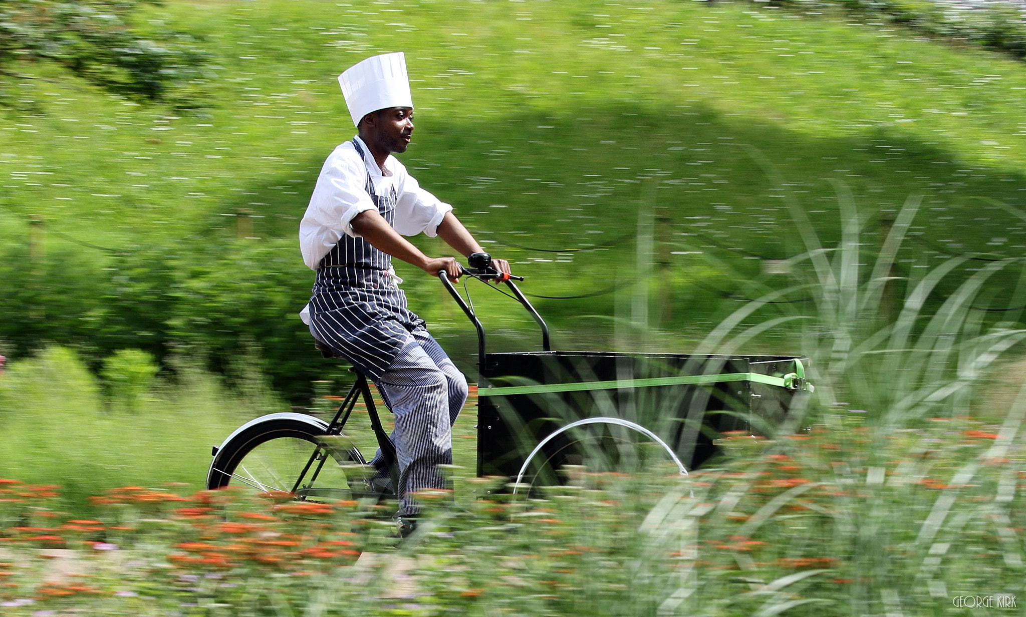 Canon EOS 70D + Sigma 50-500mm F4.5-6.3 DG OS HSM sample photo. The herb gatherer photography