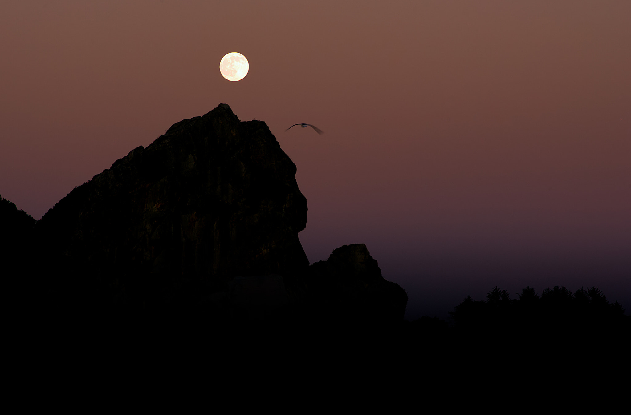 Canon EOS-1D Mark II sample photo. Moonrise on oregon coast photography