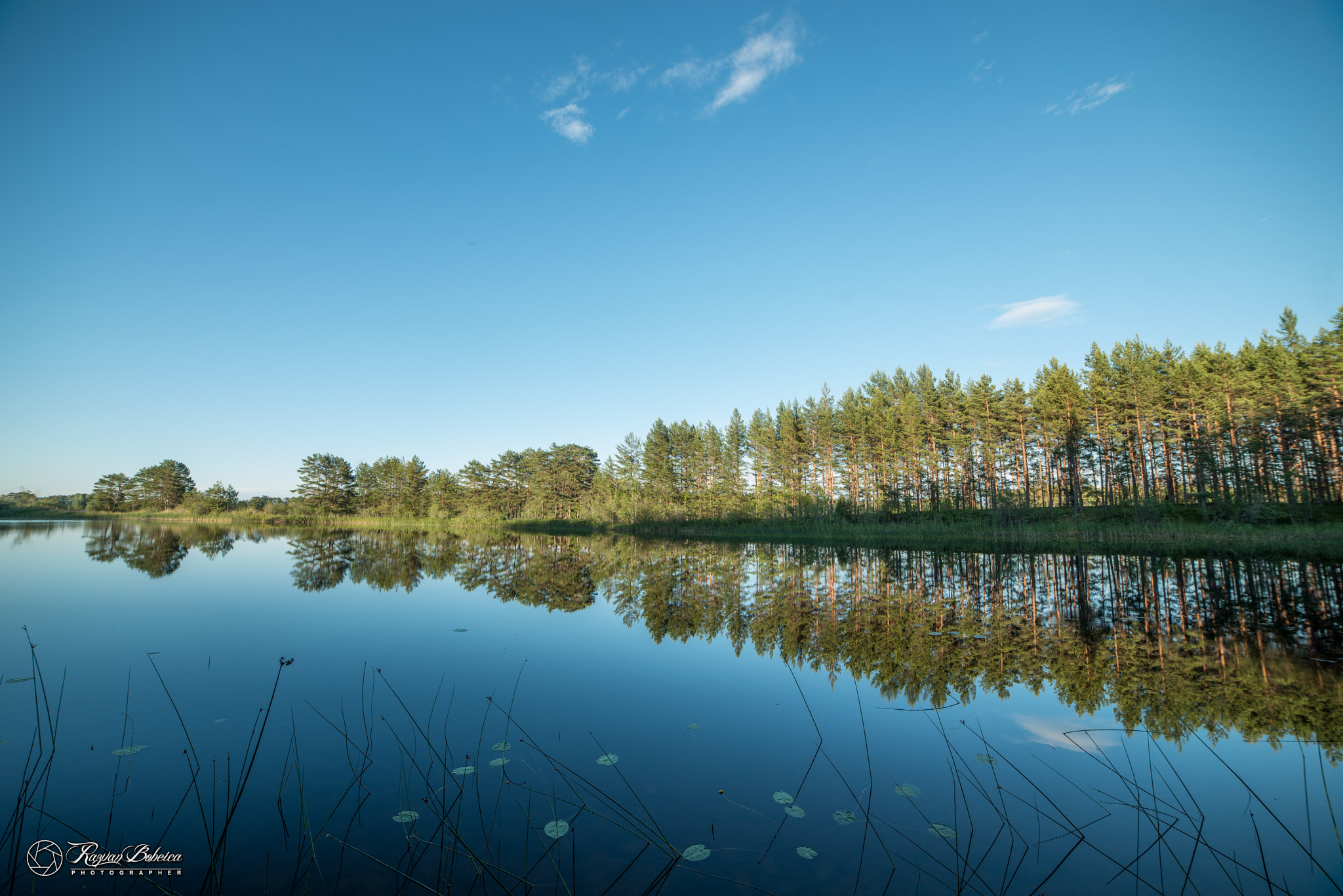 Samyang 14mm F2.8 ED AS IF UMC sample photo. Sweden 2016 photography