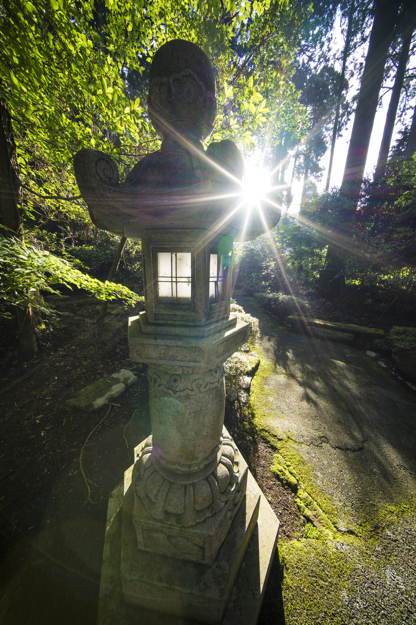 Voigtlander HELIAR-HYPER WIDE 10mm F5.6 sample photo. Hakone shrine photography
