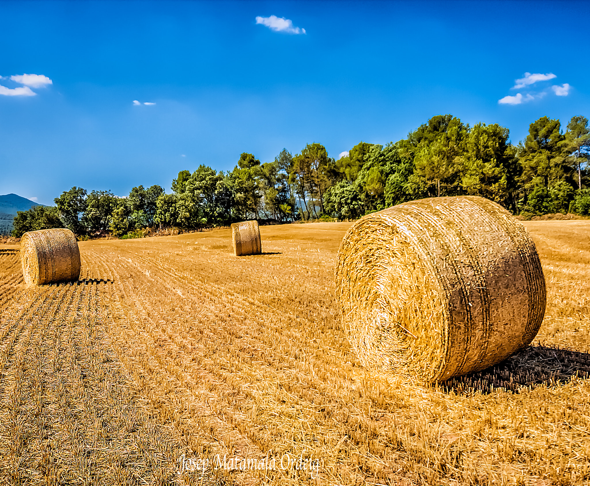 Sigma 10-20mm F3.5 EX DC HSM sample photo. Rodolas photography