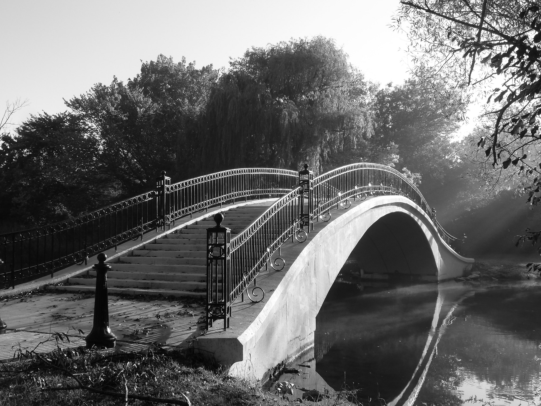 Panasonic Lumix DMC-ZS8 (Lumix DMC-TZ18) sample photo. Bridge in the park photography