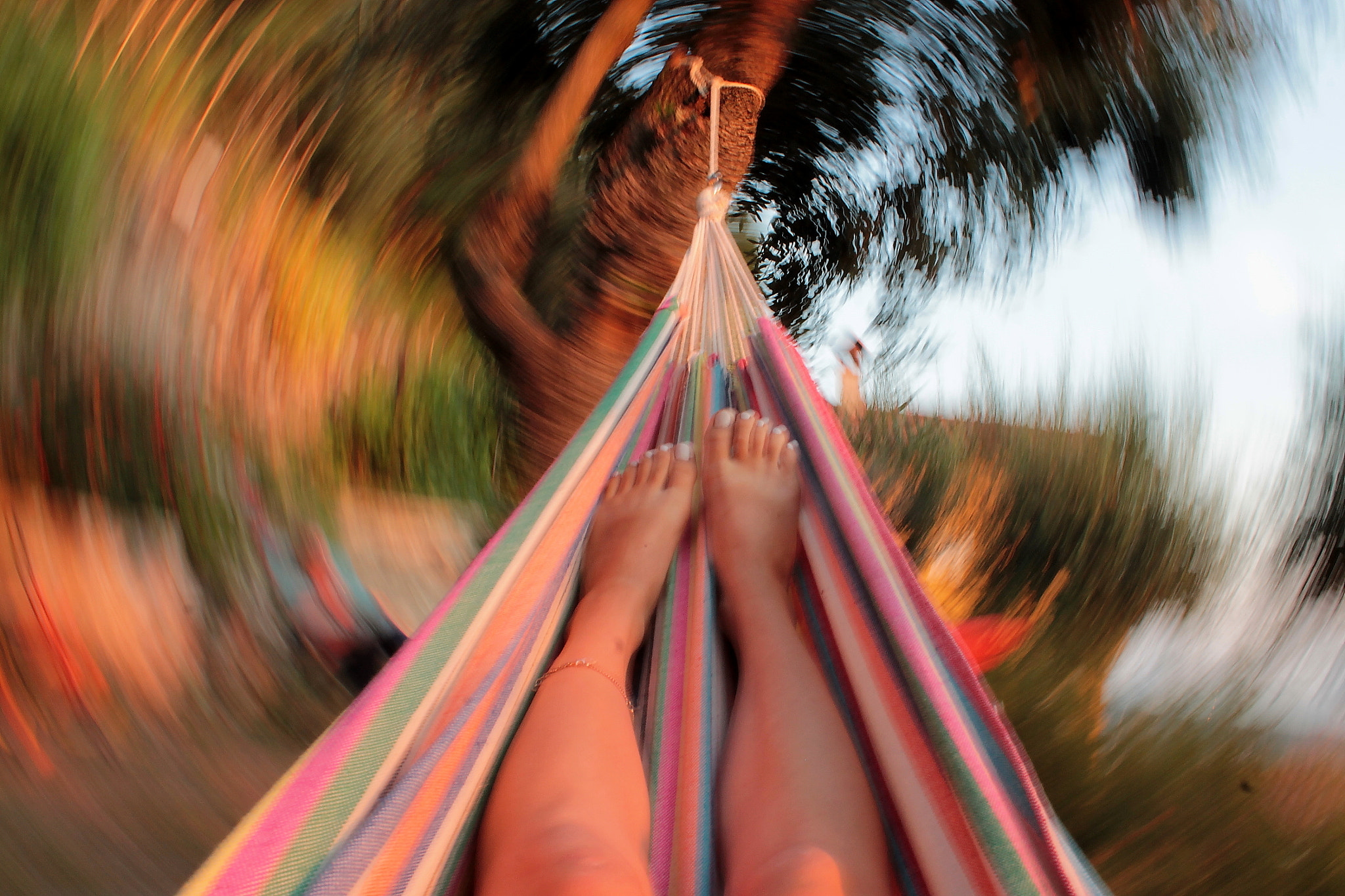 Canon EF-S 18-55mm F3.5-5.6 IS II sample photo. Swinging between olive trees photography