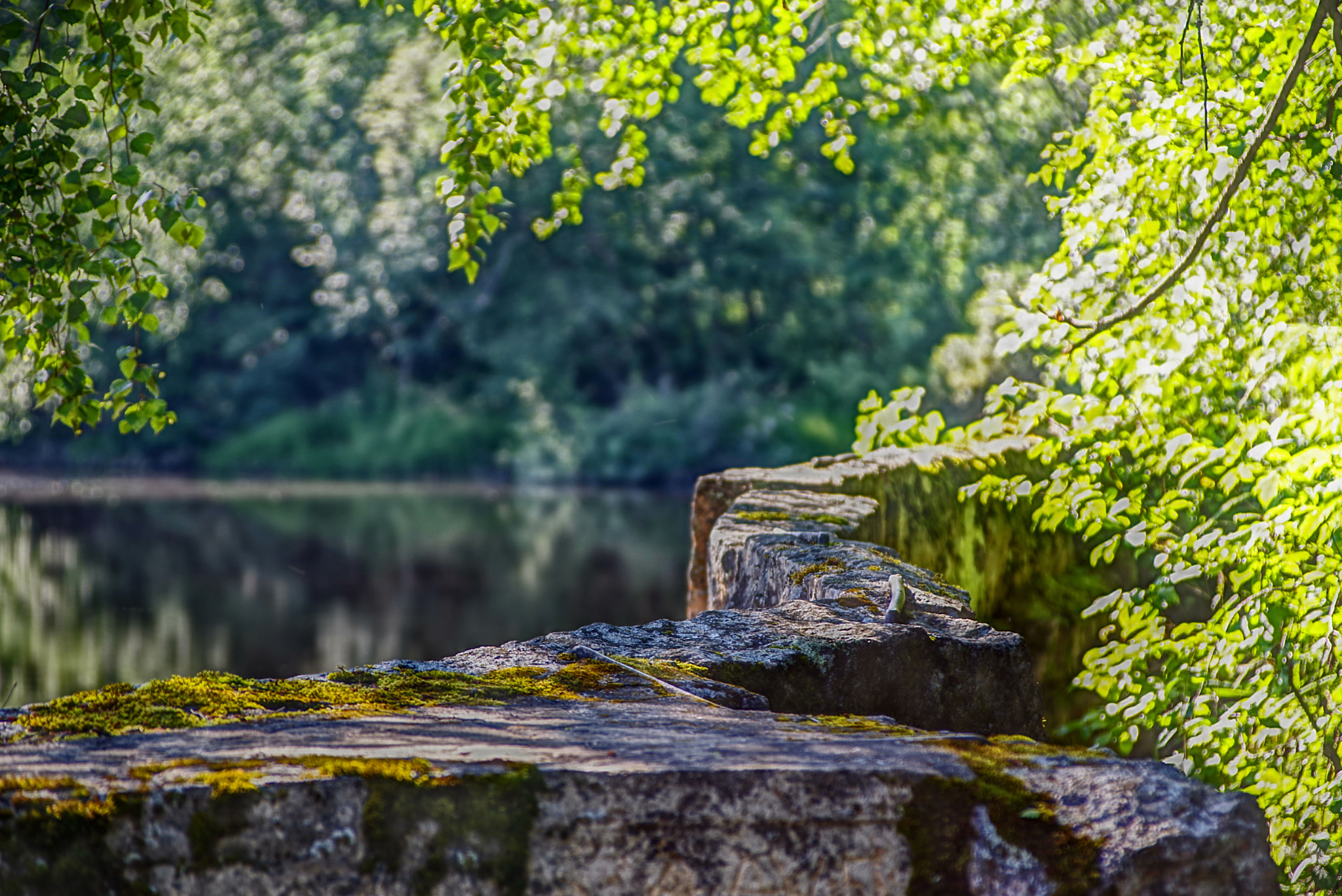 Pentax K-1 sample photo. By the dam photography