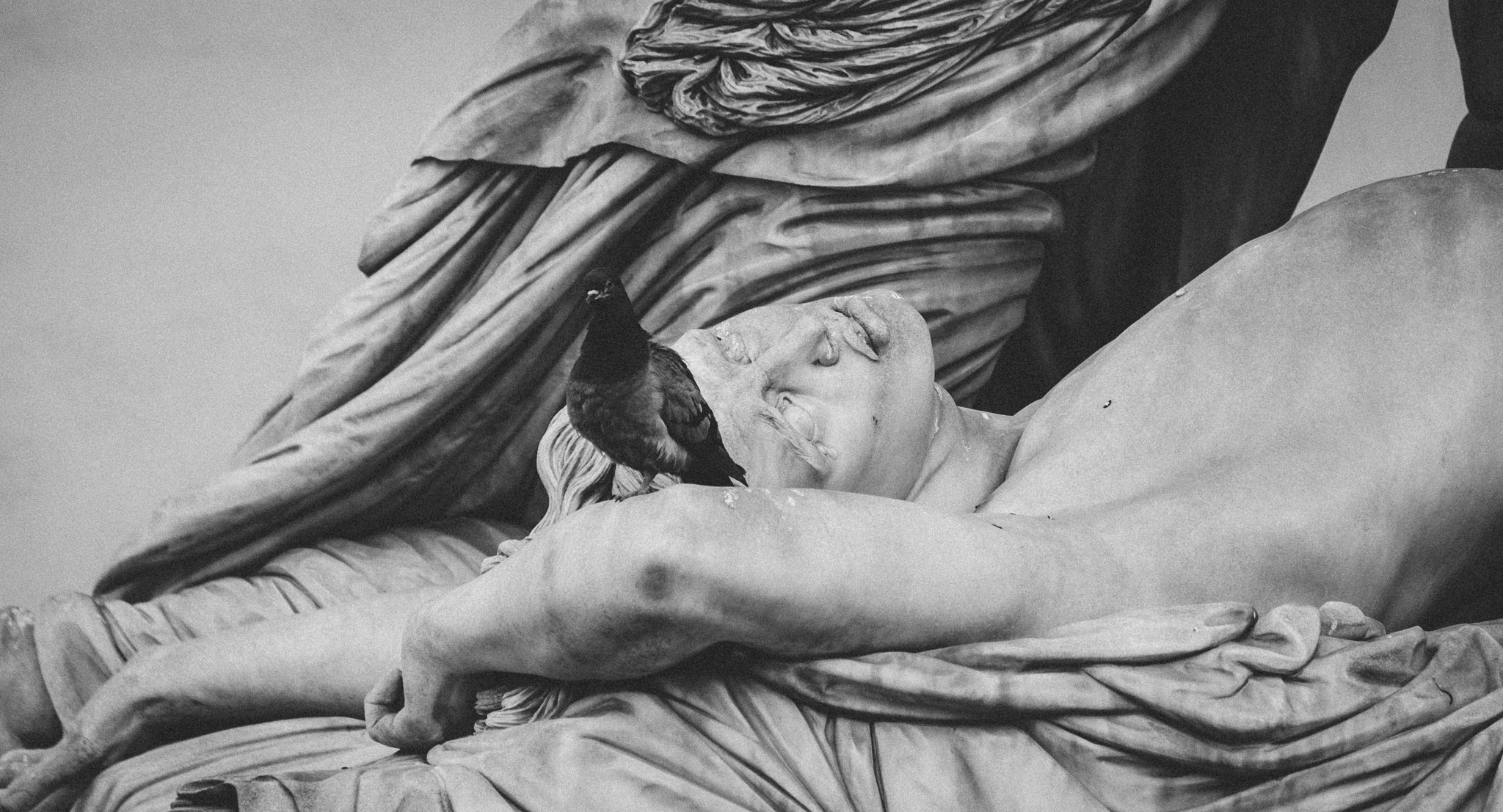 Fujifilm XF 55-200mm F3.5-4.8 R LM OIS sample photo. L'oiseau et la statue photography