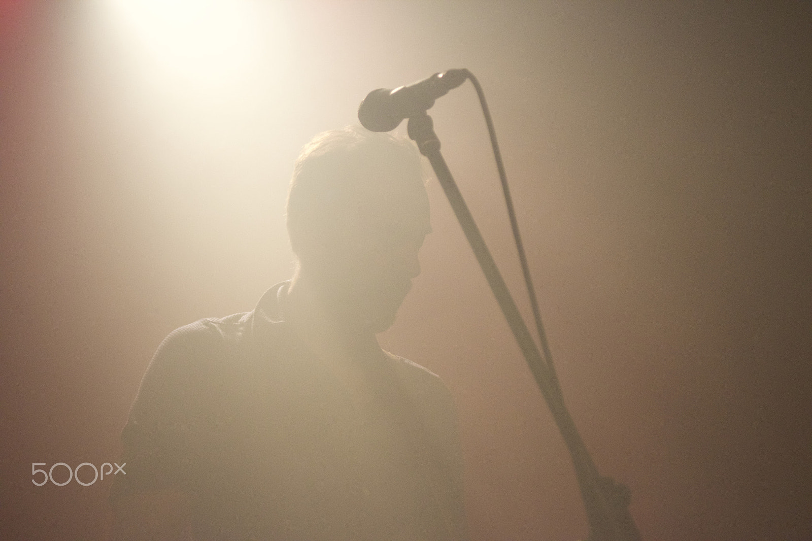 Canon EF 28-80mm f/2.8-4L sample photo. The singer shadow photography