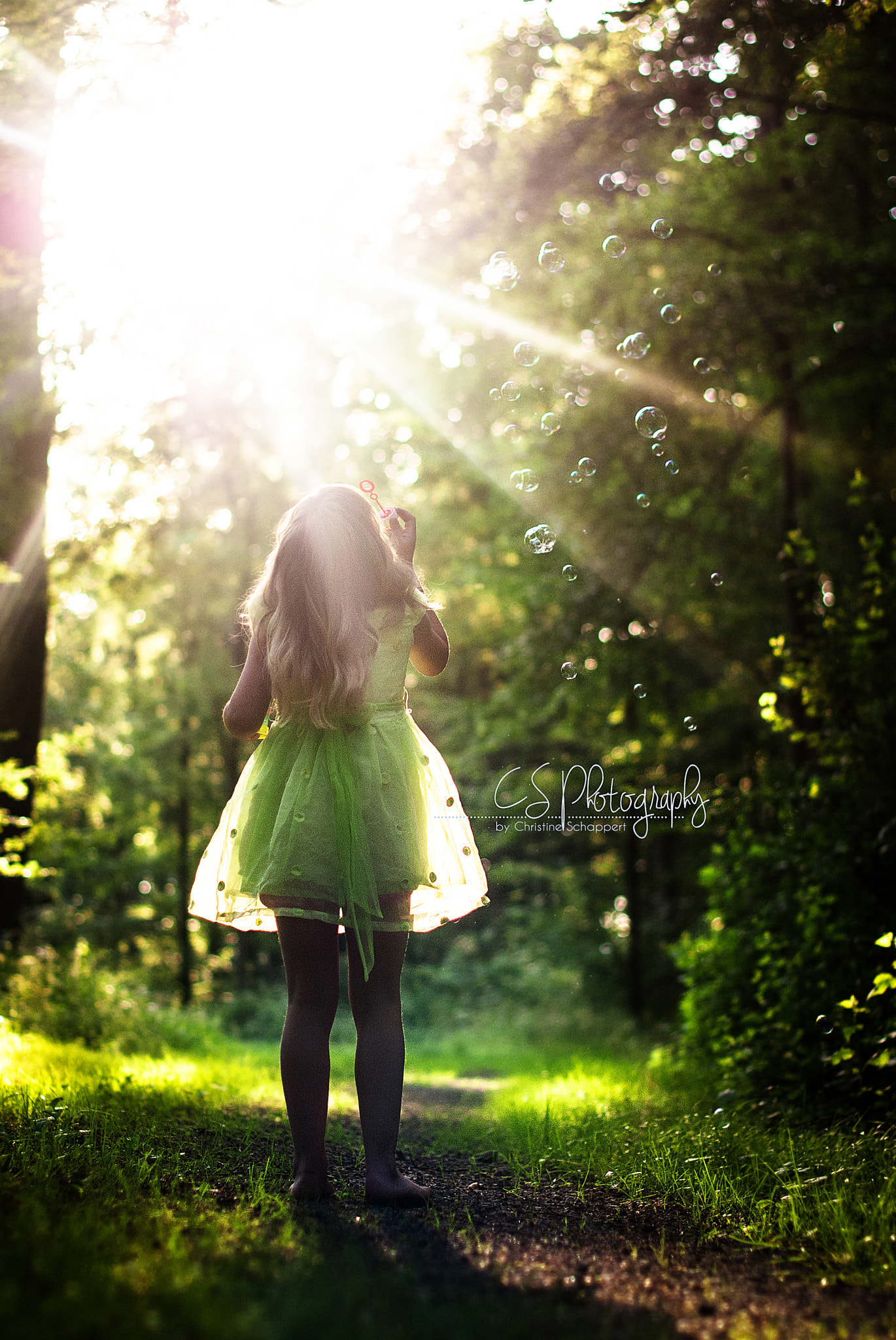 Nikon D40X + Nikon AF-S Nikkor 50mm F1.4G sample photo. Fairytale photography