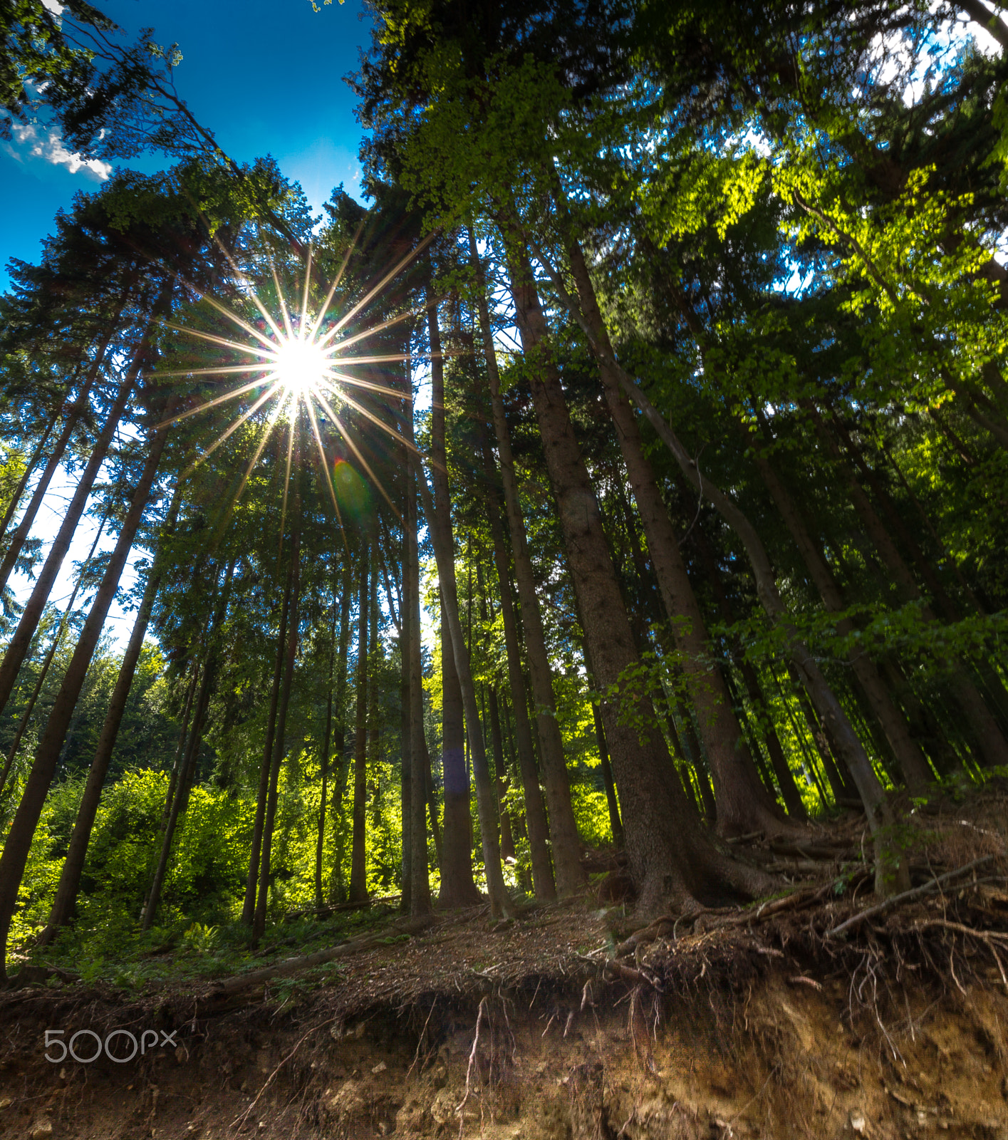Canon EOS 7D + Canon EF 16-35mm F4L IS USM sample photo. Martinske hole photography