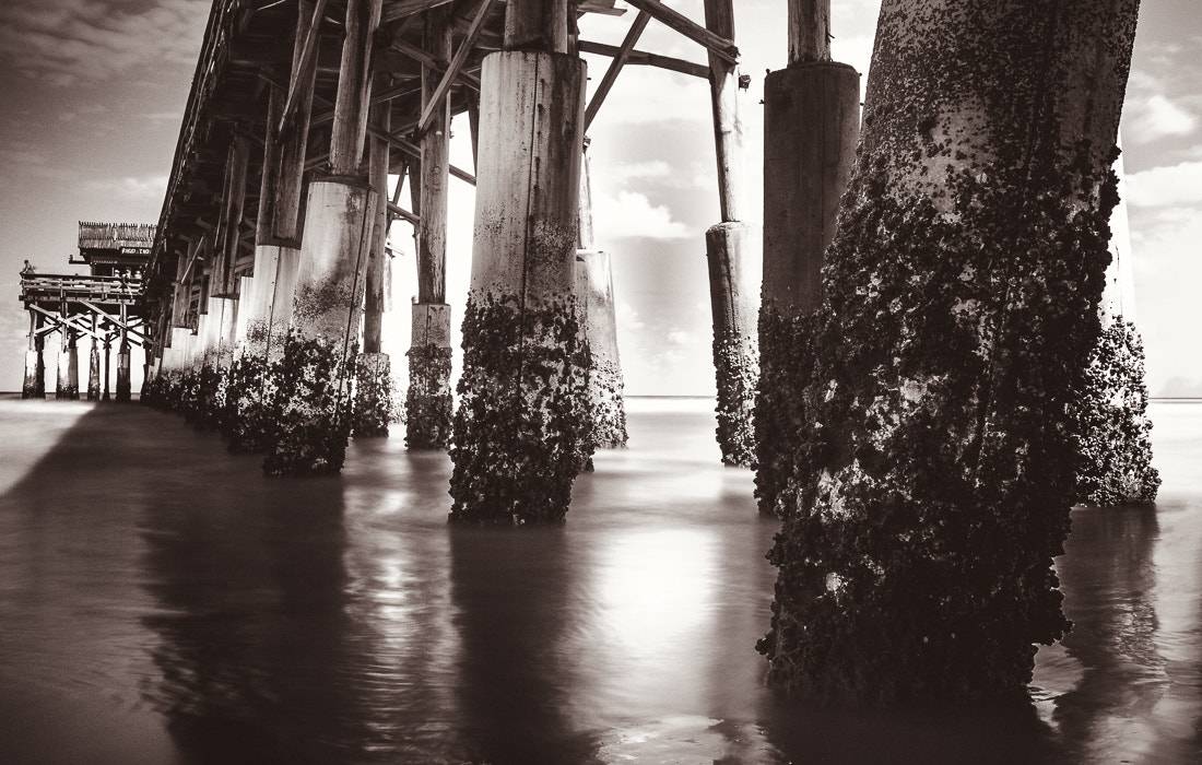 Olympus PEN E-P3 sample photo. Pillars of strength photography