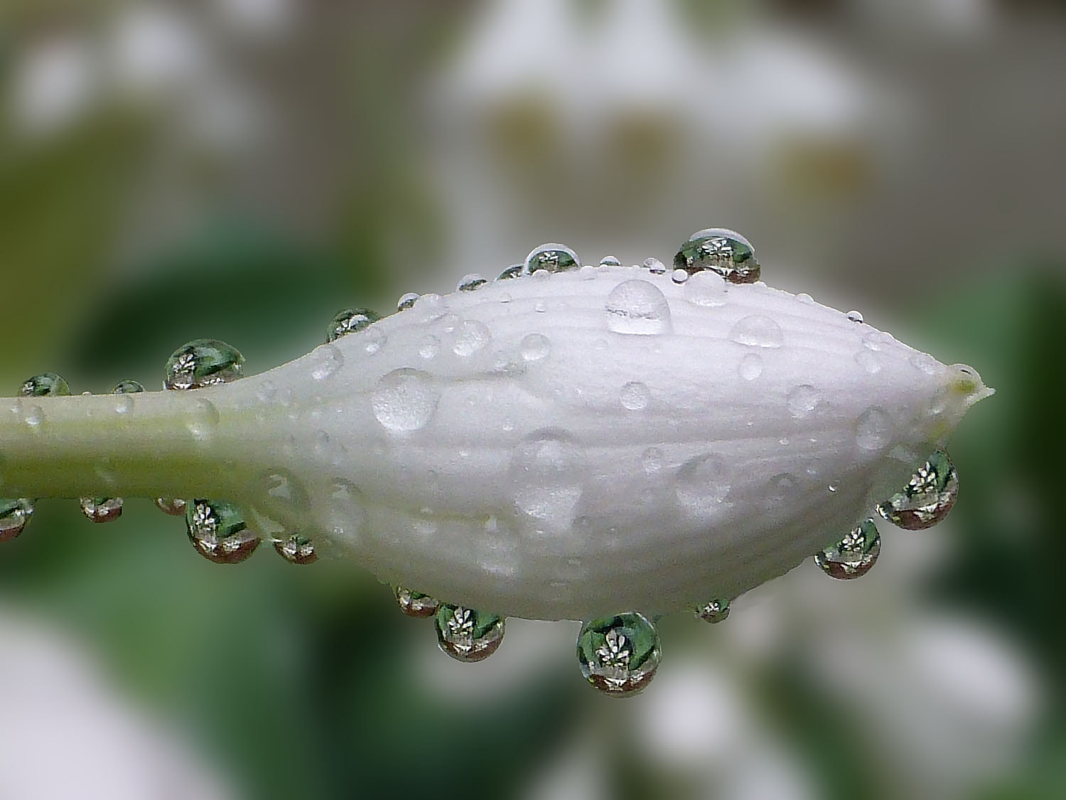 Panasonic Lumix DMC-ZS20 (Lumix DMC-TZ30) sample photo. A very rainy day photography