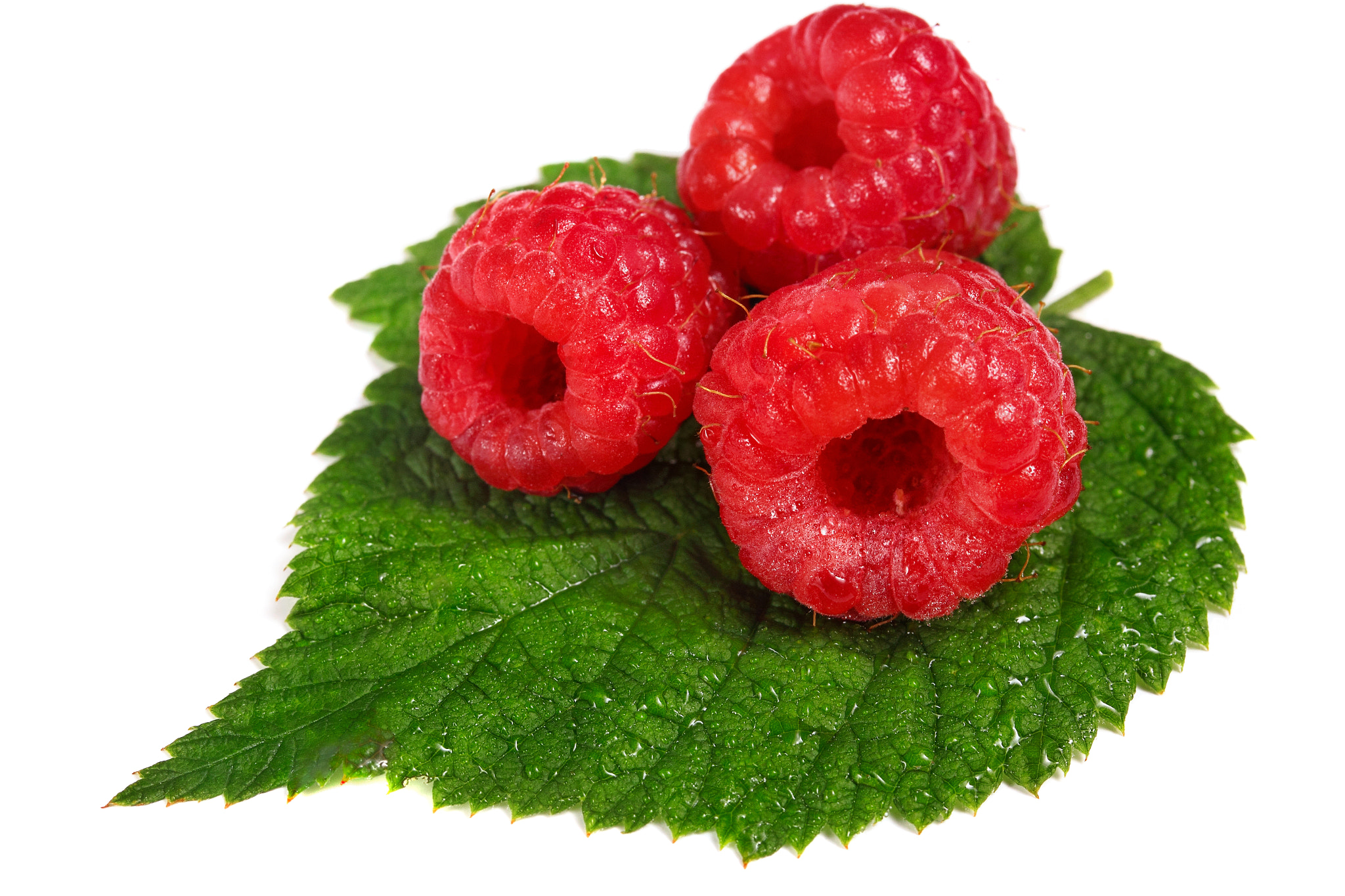 Canon EF-S 60mm F2.8 Macro USM sample photo. Three raspberries on raspberry's on wet leaf with water drops.wh photography