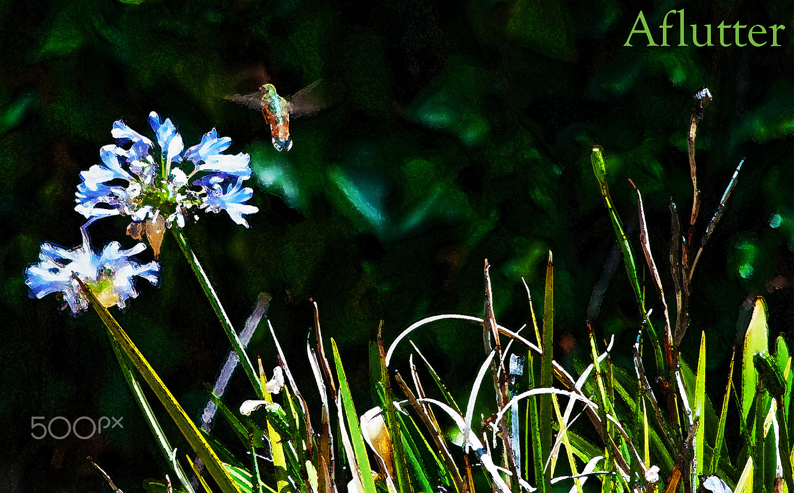 Nikon D80 sample photo. Aflutter photography