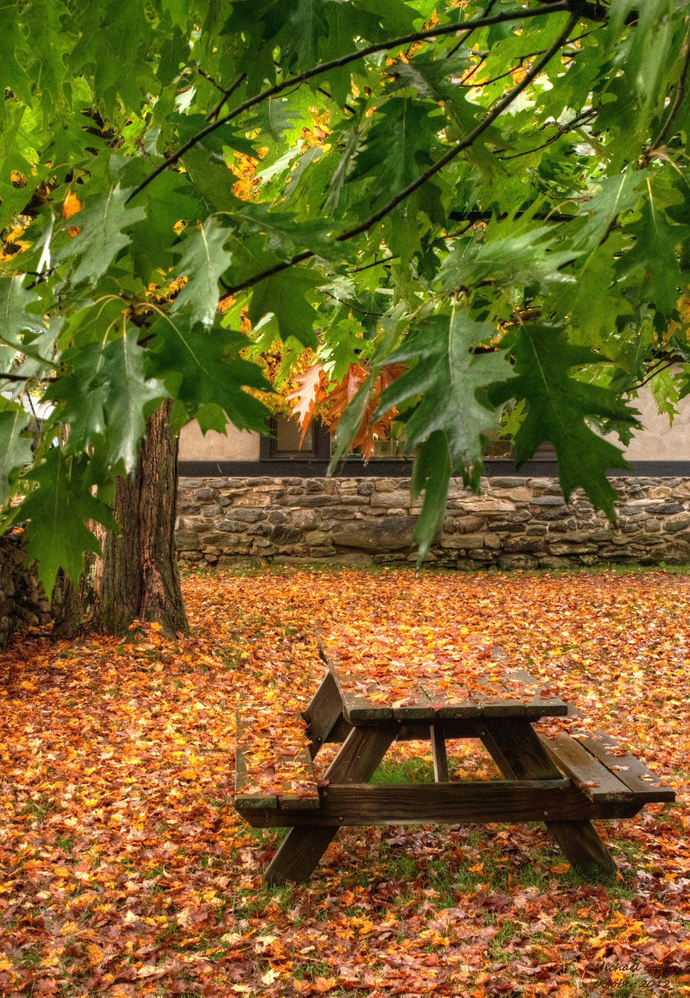 Picnic table in Autumn