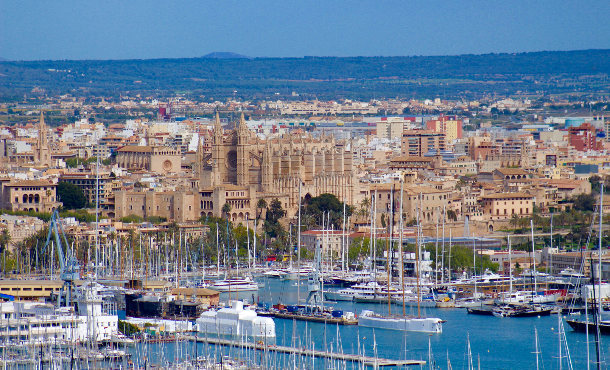 Canon EF75-300mm f/4-5.6 USM sample photo. Las palmas from above photography