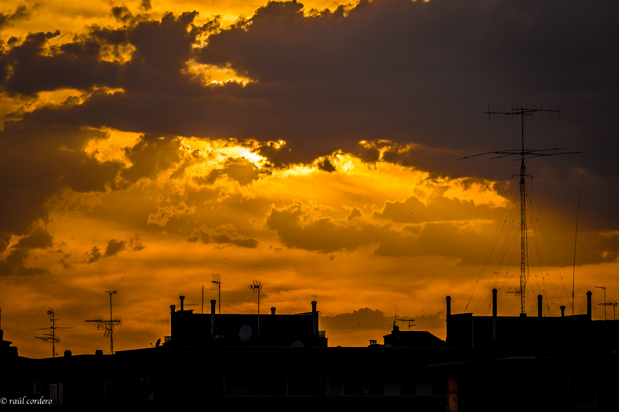Nikon D4 sample photo. Sunset in city photography